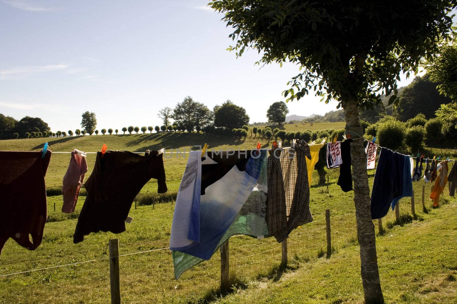 Laundry hanging to dry on a clothes-line