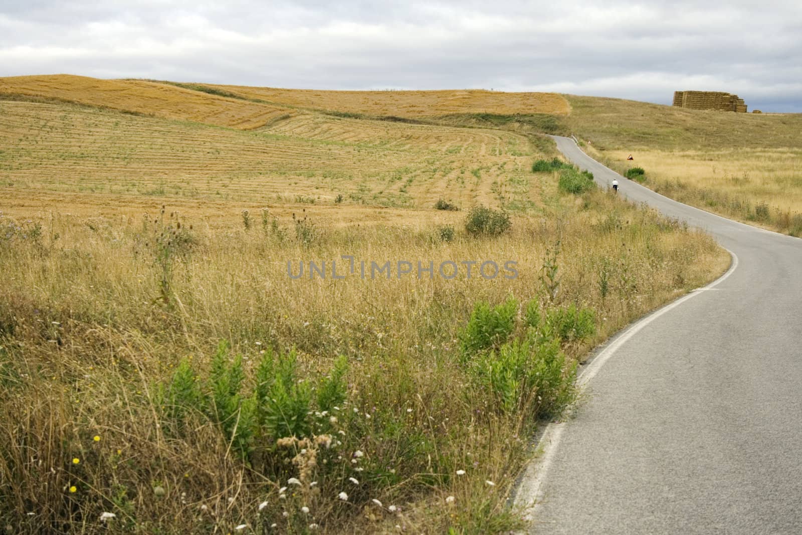 Pilgrims on the road, Way of St. James