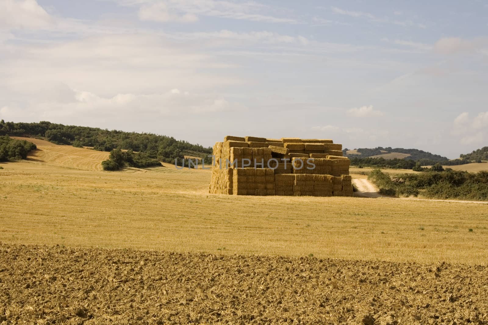 Bales of hay in the spanish countryside in the summer