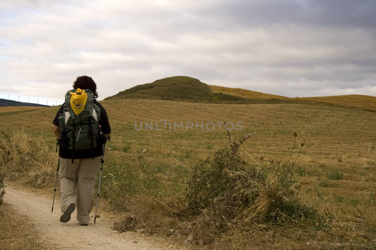 Pilgrims on the road, Way of St. James