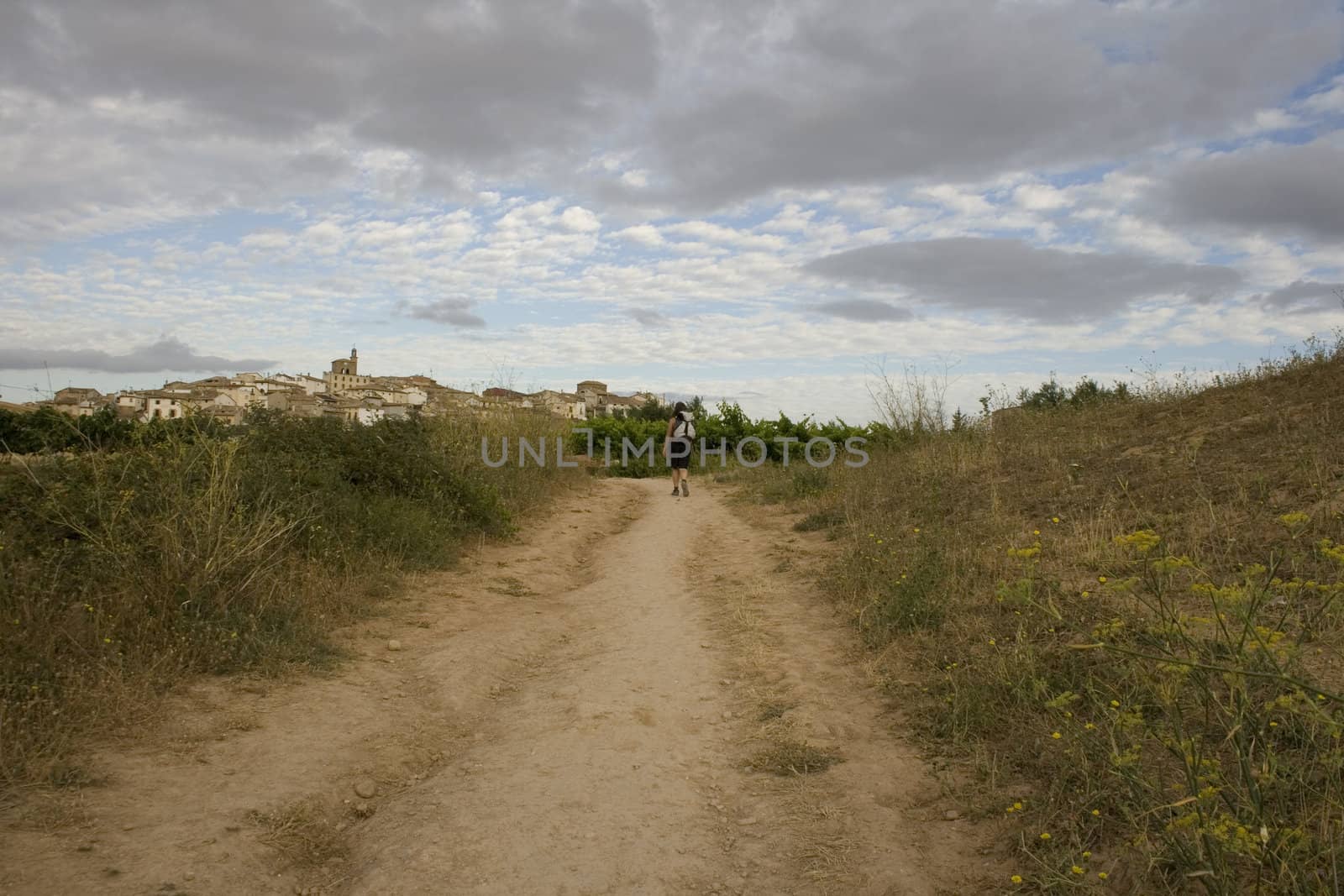 Pilgrims on the road, Way of St. James