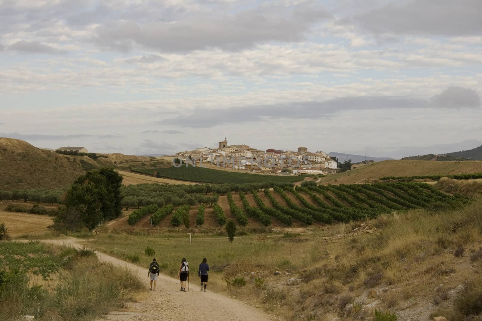 Pilgrims on the road, Way of St. James