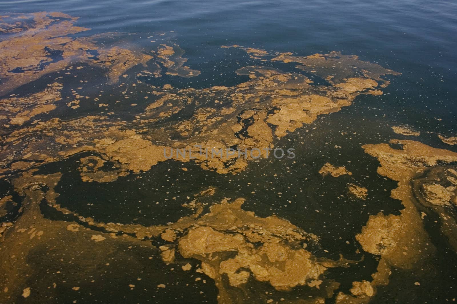 View of Polluted sea, in the Cantabrian sea