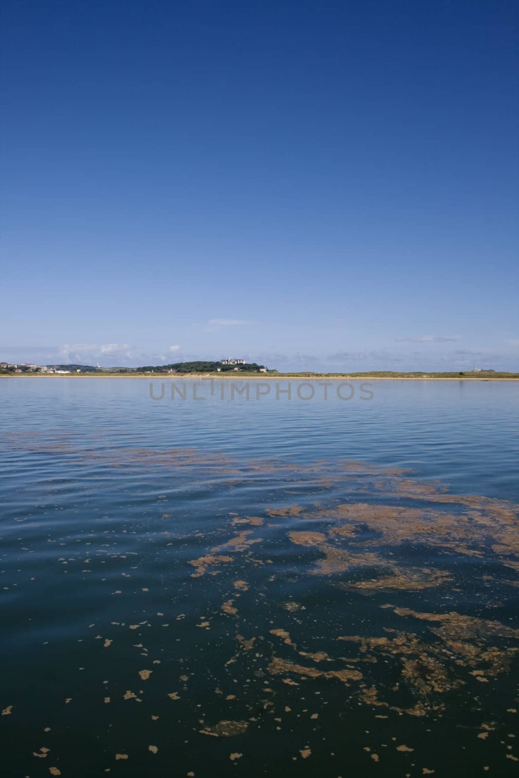 View of Polluted sea, in the Cantabrian sea