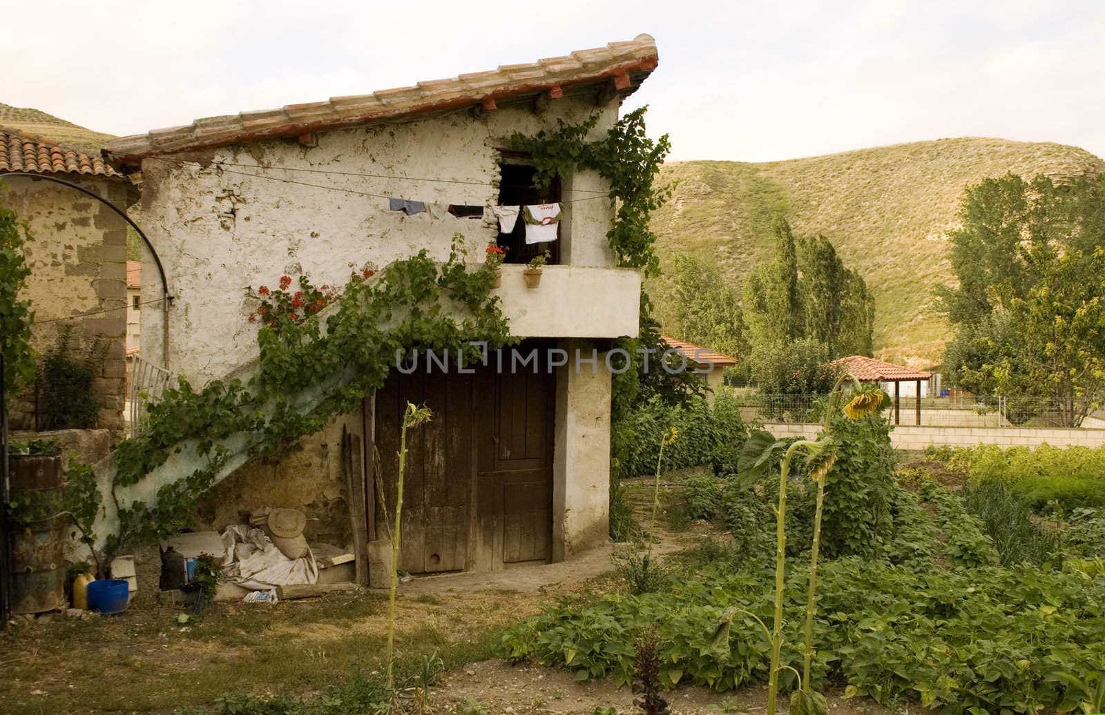 View of a little house in spanish countryside