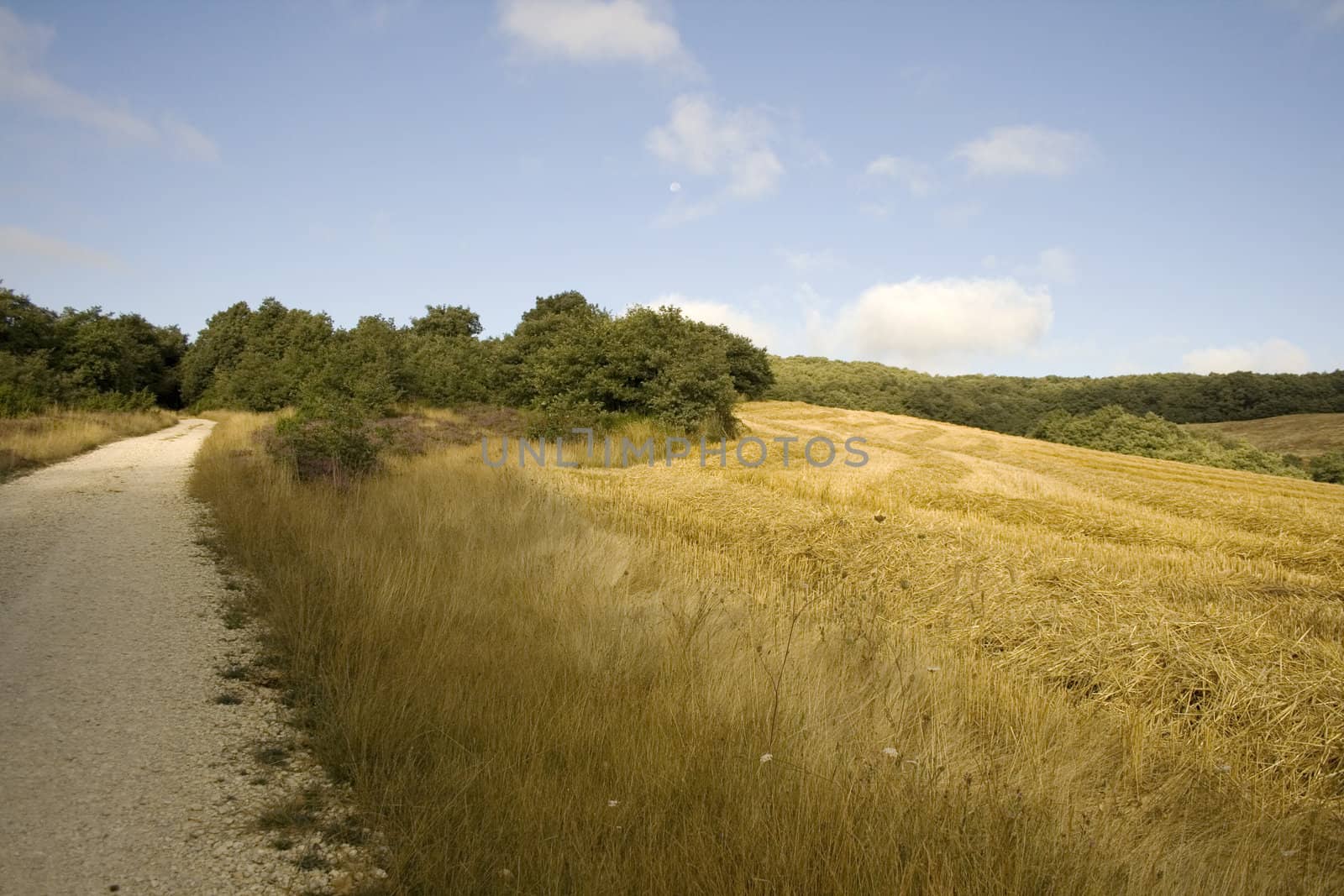 Way of St. James, Spanish countryside in the summer