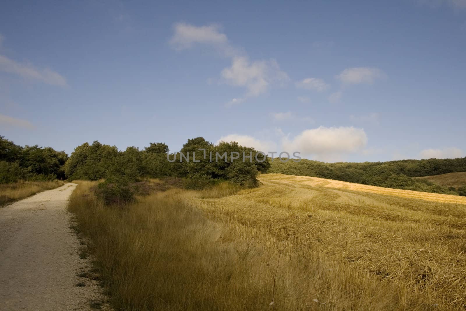 Way of St. James, Spanish countryside in the summer