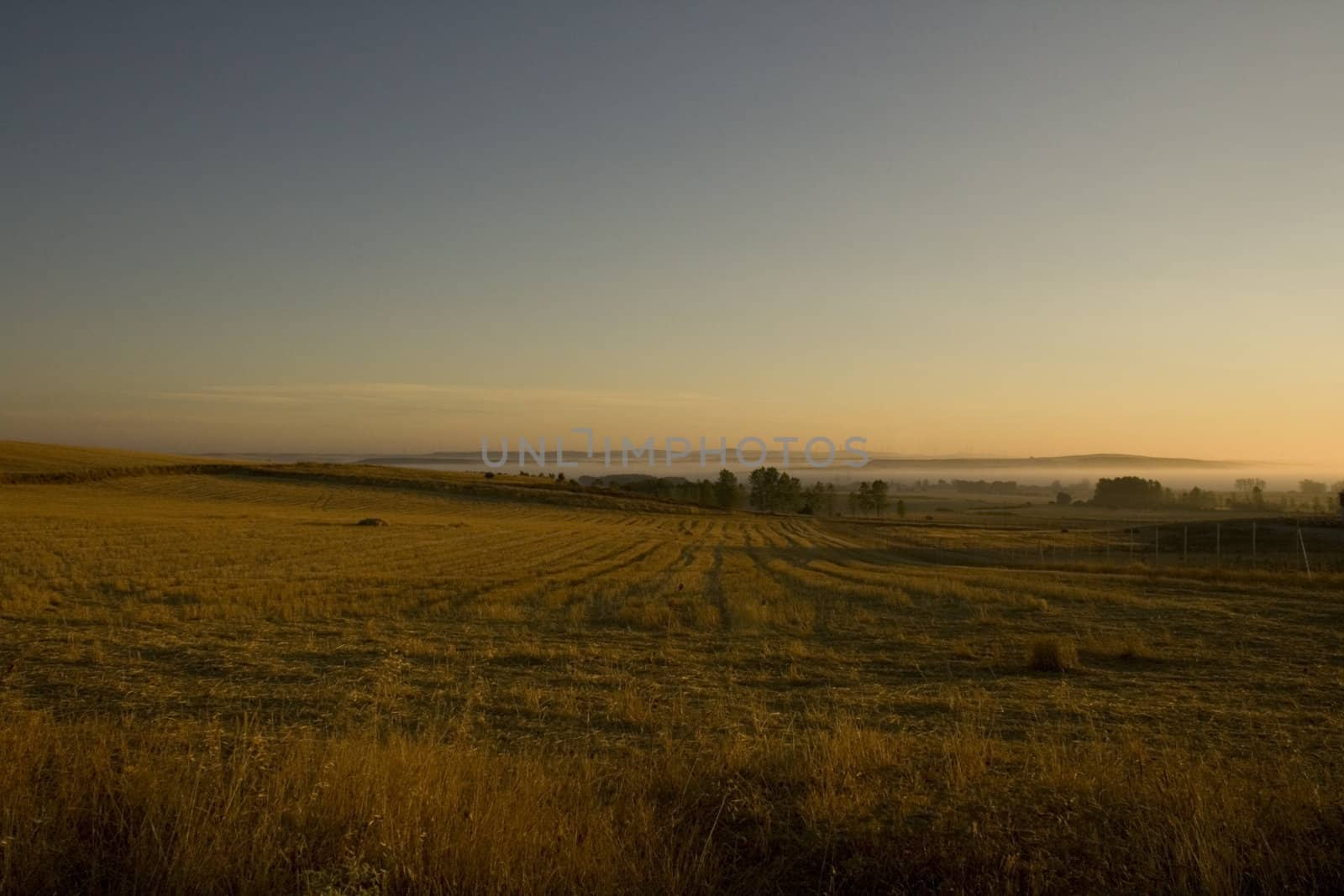 Way of St. James, Spanish countryside in the summer