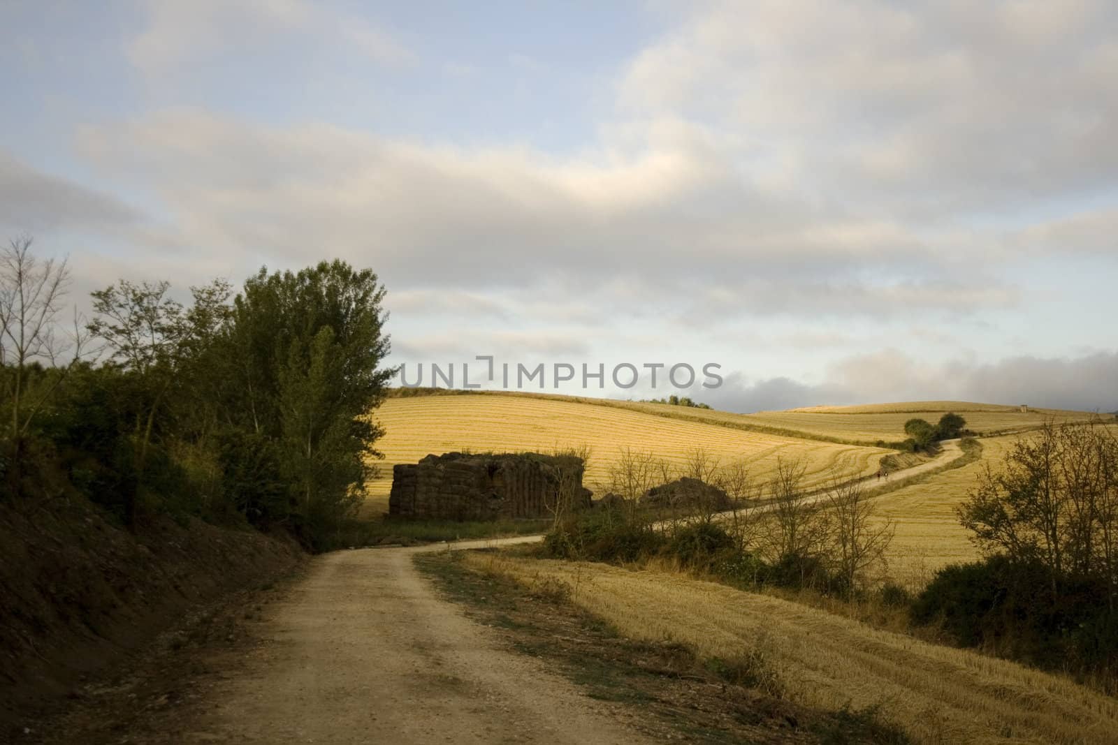 Way of St. James, Spanish countryside in the summer