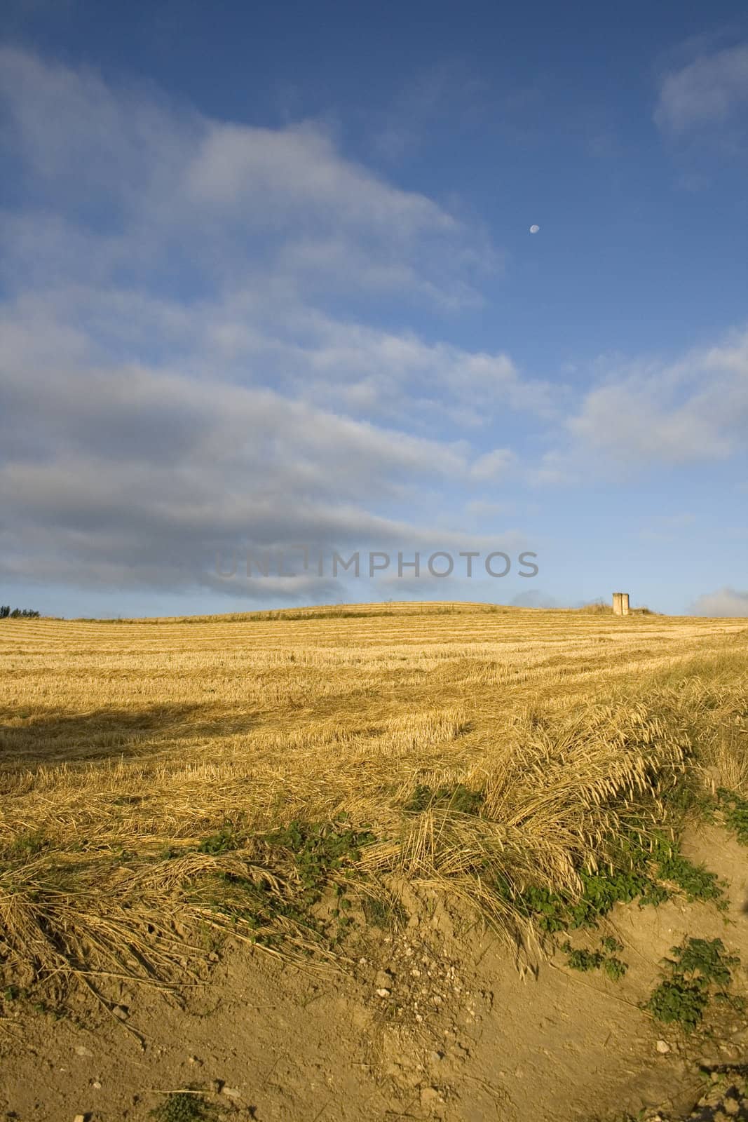 Way of St. James, Spanish countryside in the summer