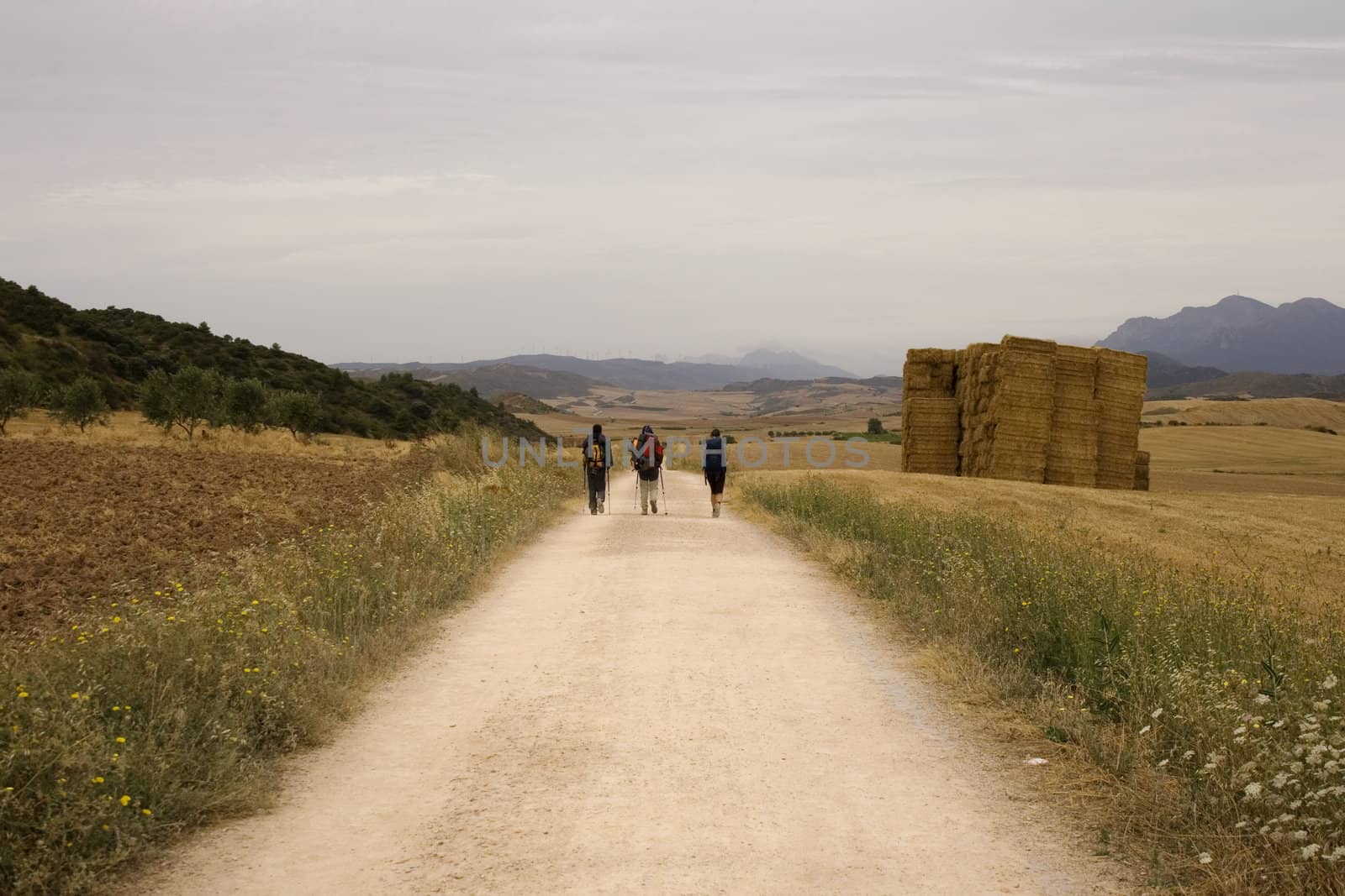 Pilgrims, way of St. James in Spain