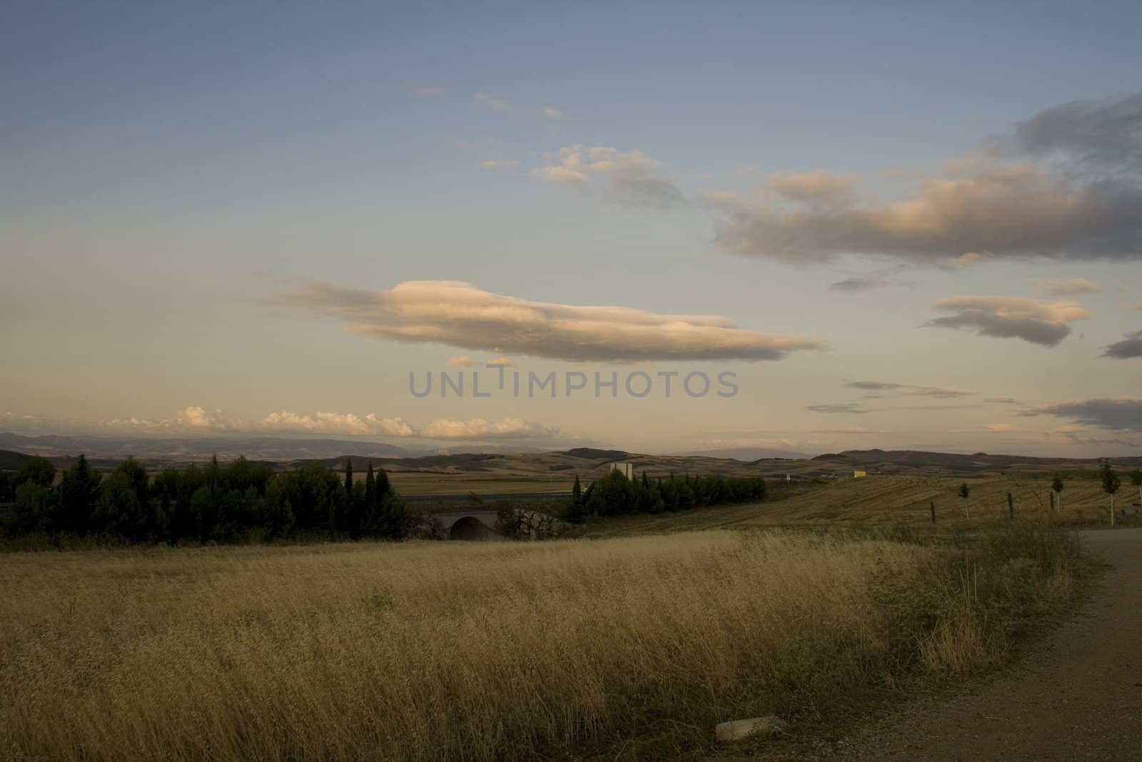 View of the Spanish countryside in the summer