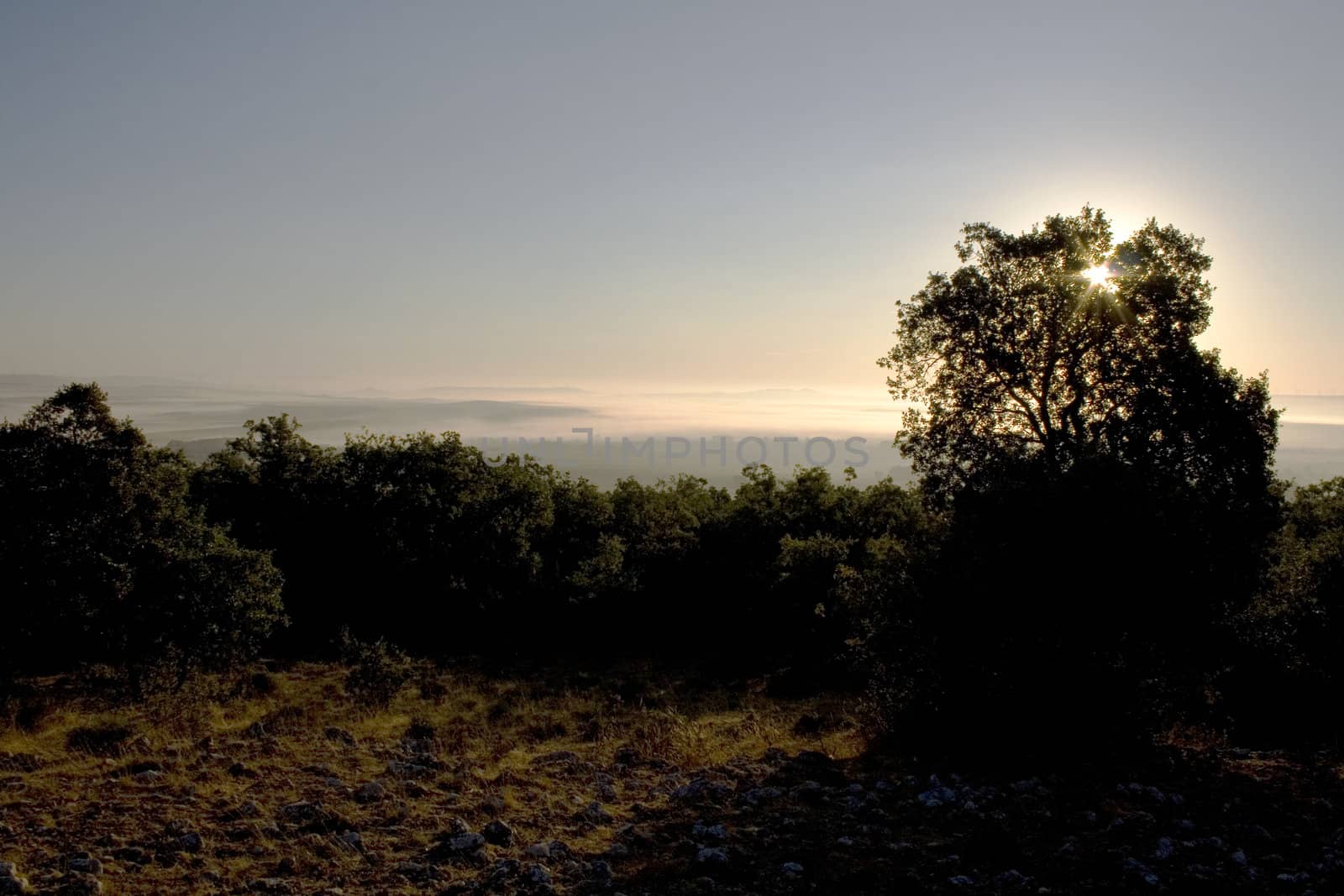 Landscape, Sunset in the spanish countryside