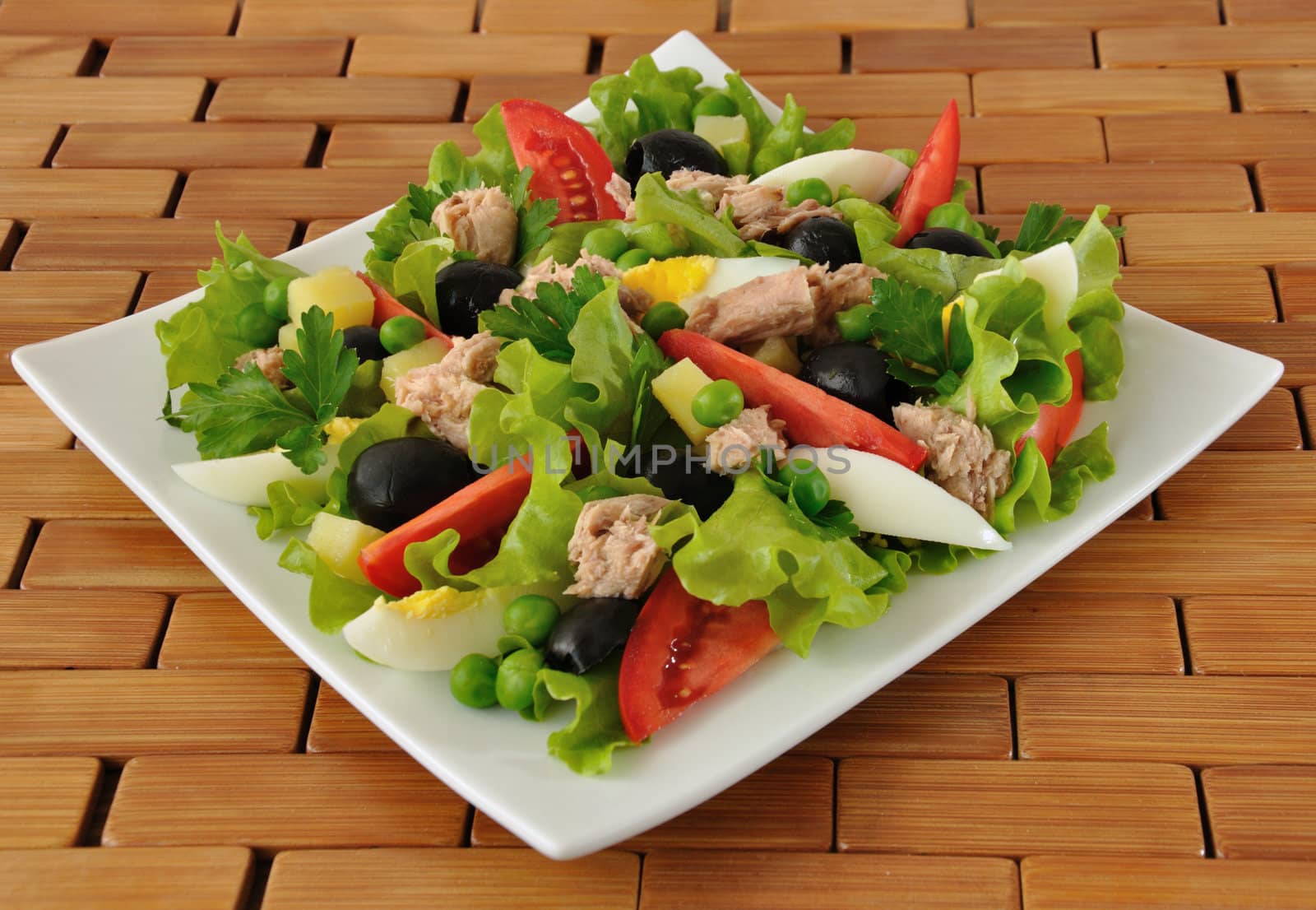  Vegetable salad with tuna and egg by Apolonia