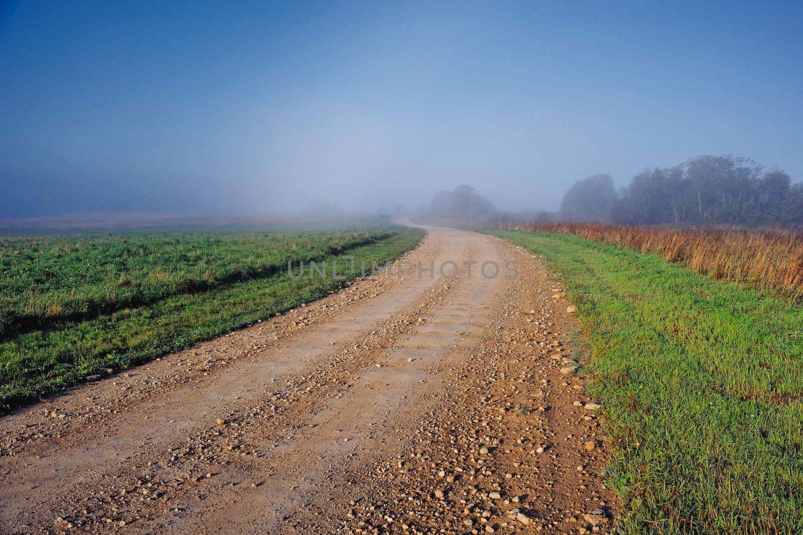 Earth road across meadow in the countryside