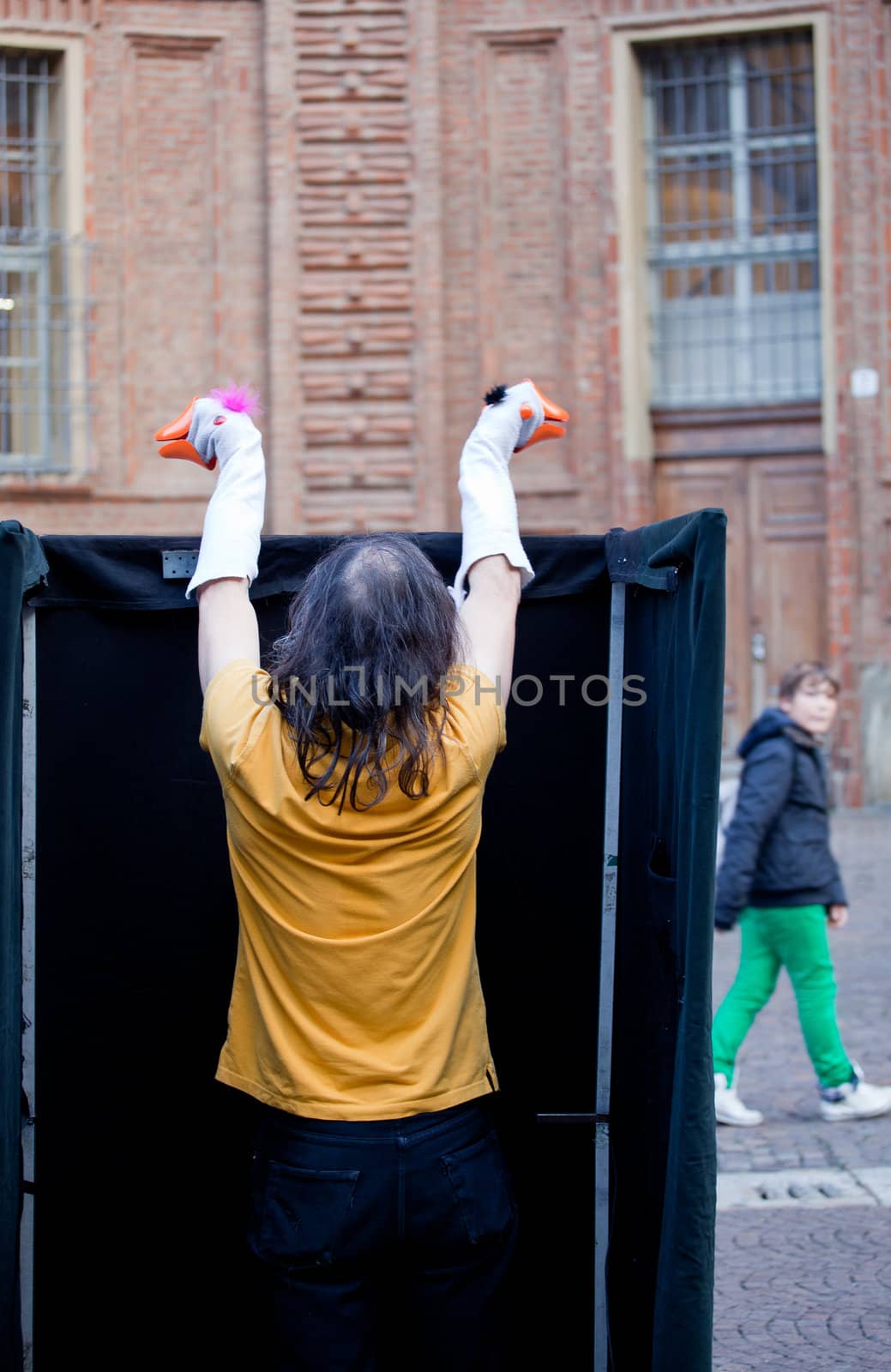 Photo of a Show with the geese puppets