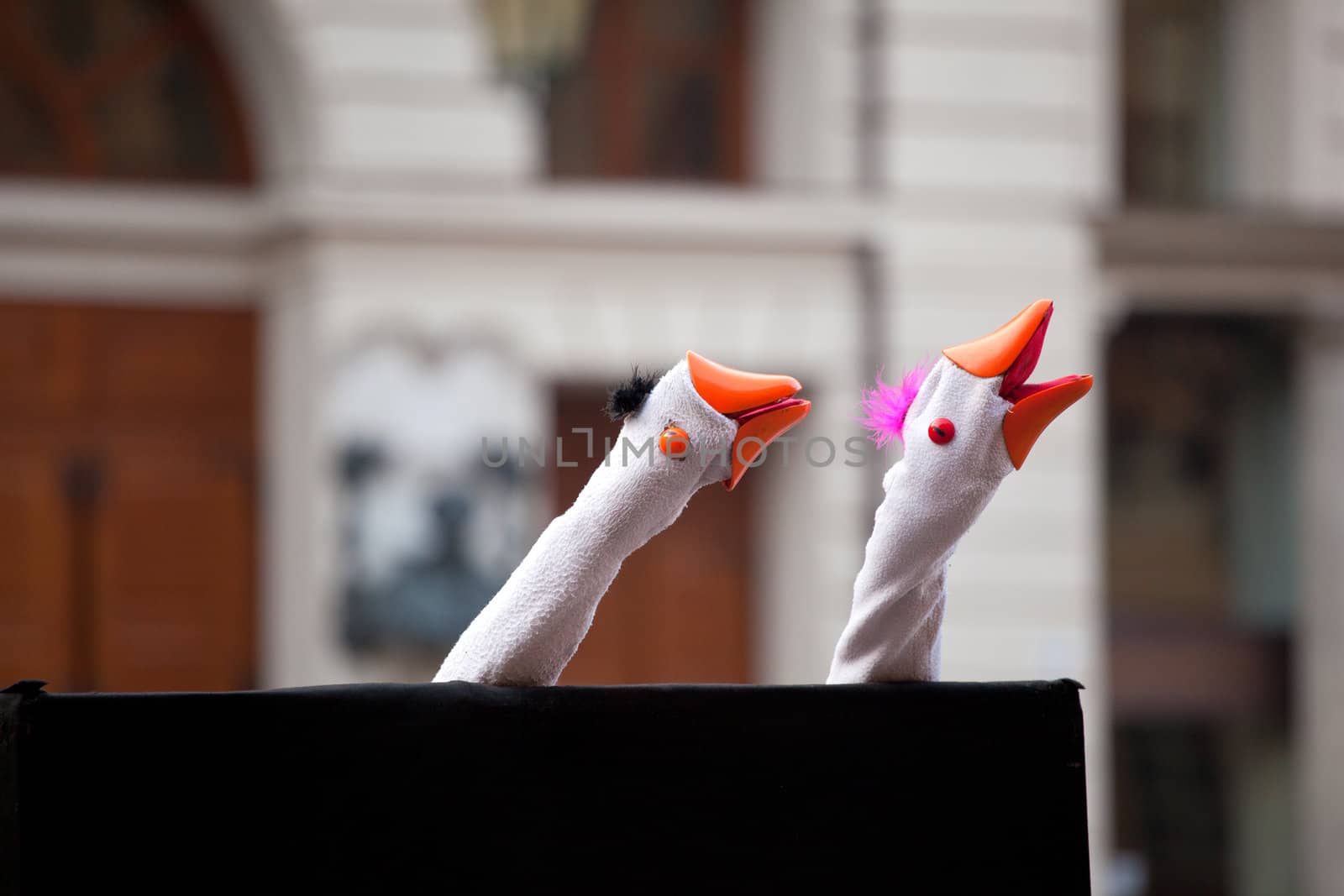 Photo of a Show with the geese puppets