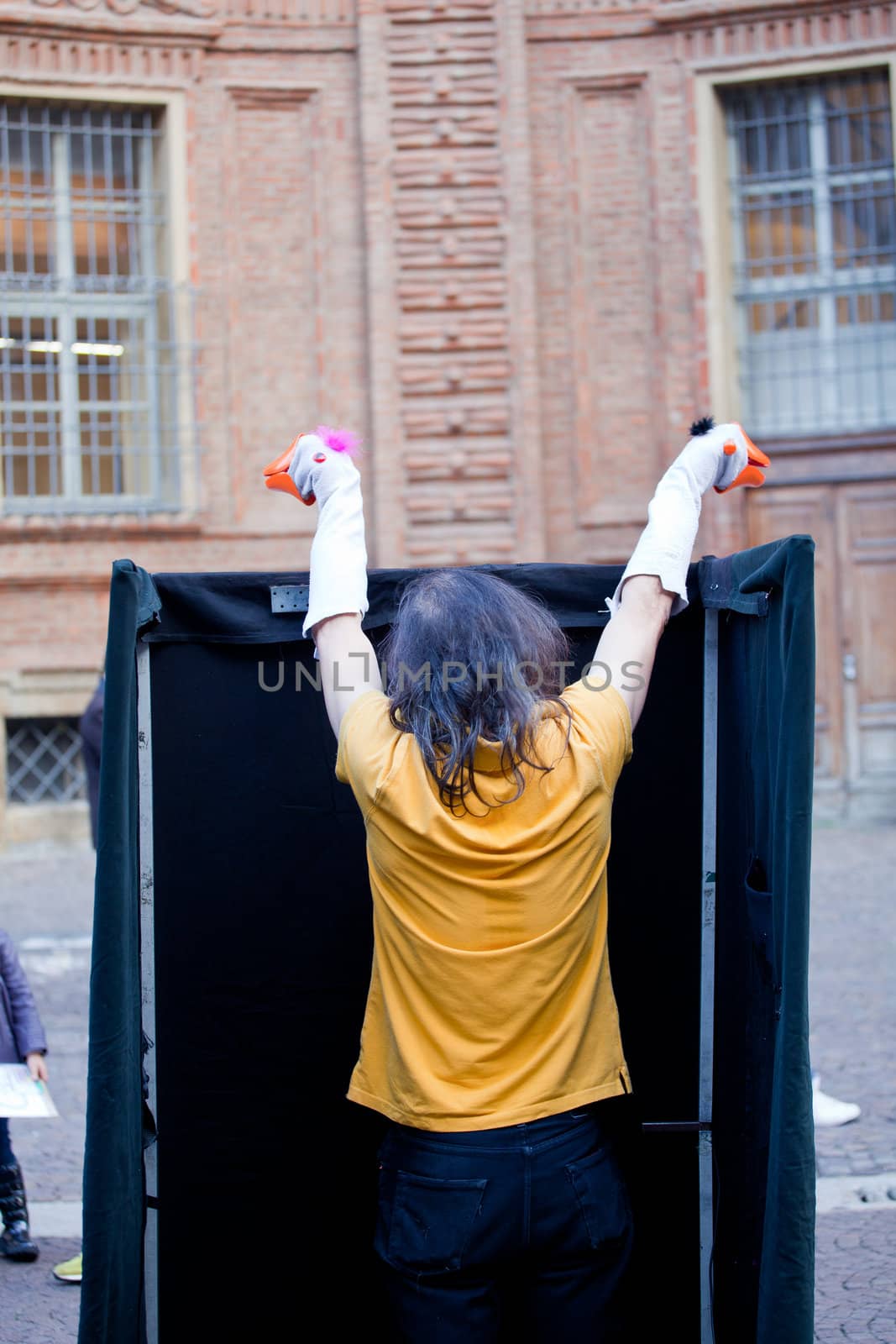 Photo of a Show with the geese puppets