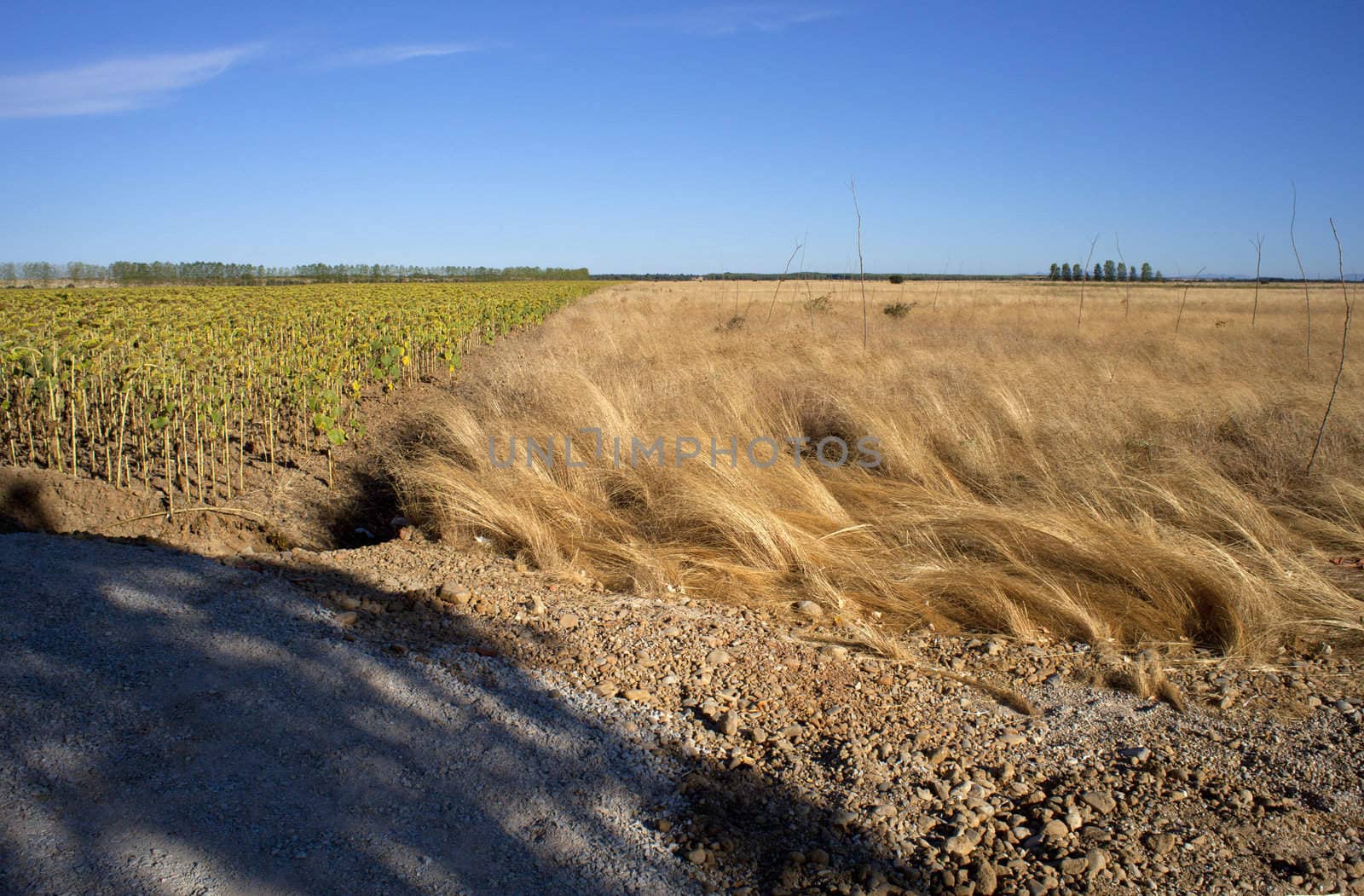 Rural scene in the spanish countryside