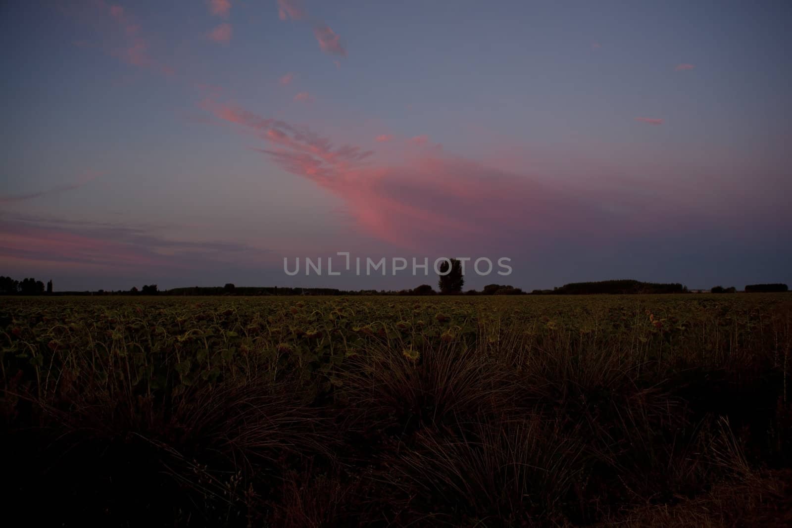 Sunrise in the spanish countryside