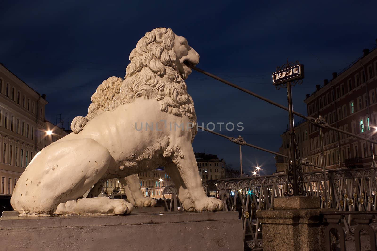 night horizontal view of Pedestrian Lion bridge in St. Petersburg, Russia