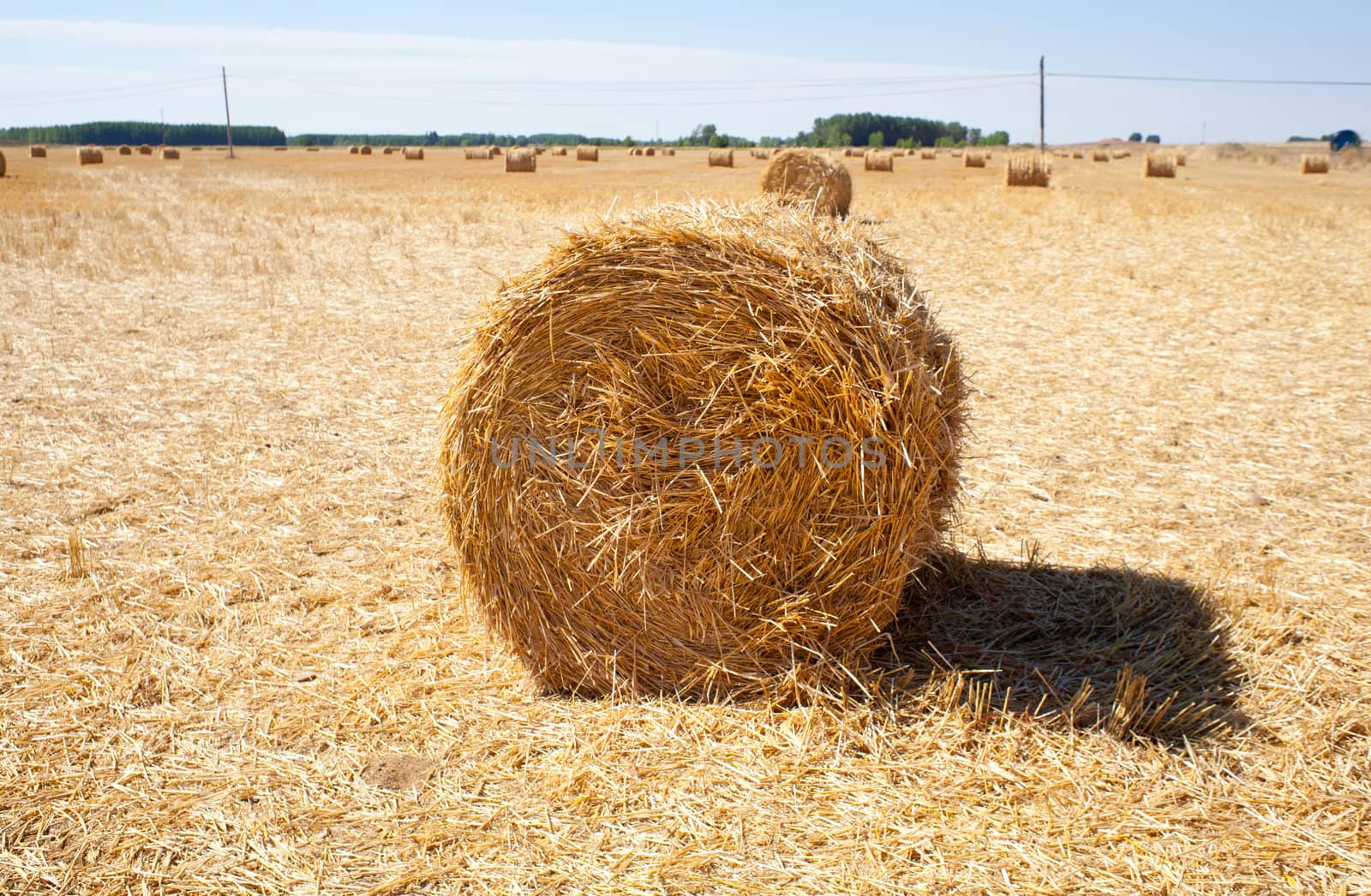 Bales of hay, spanish countryside