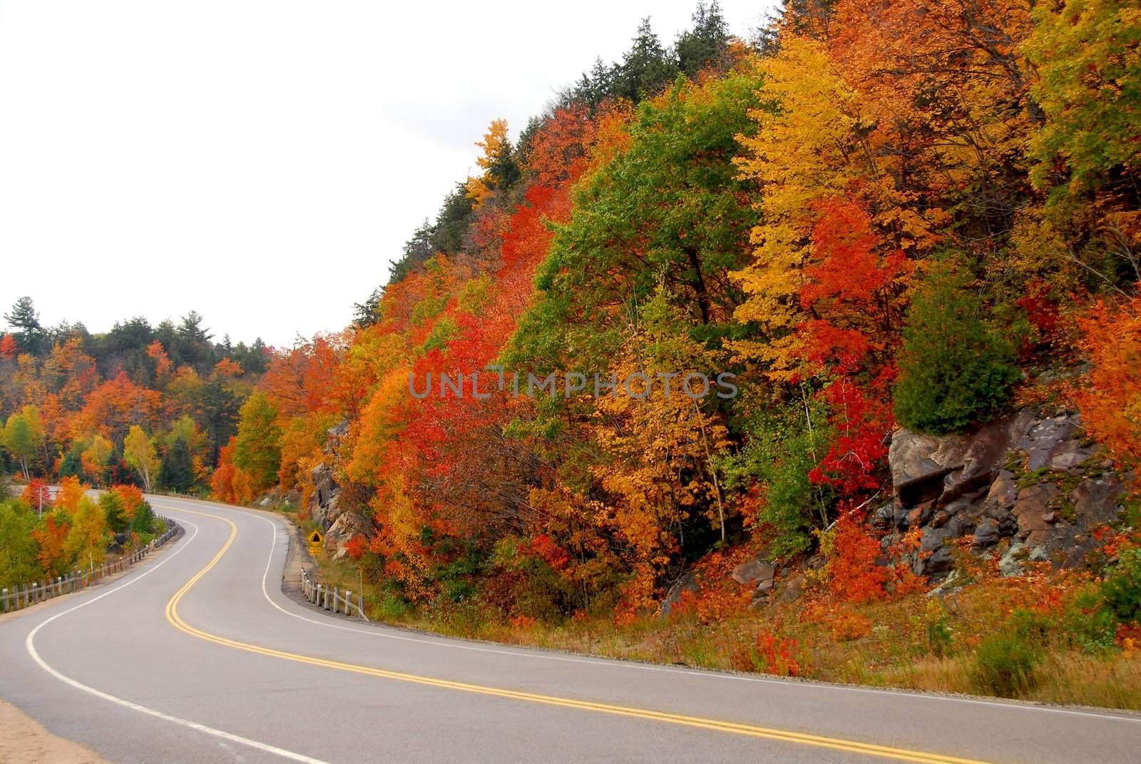 Fall highway in northern Ontario, Canada