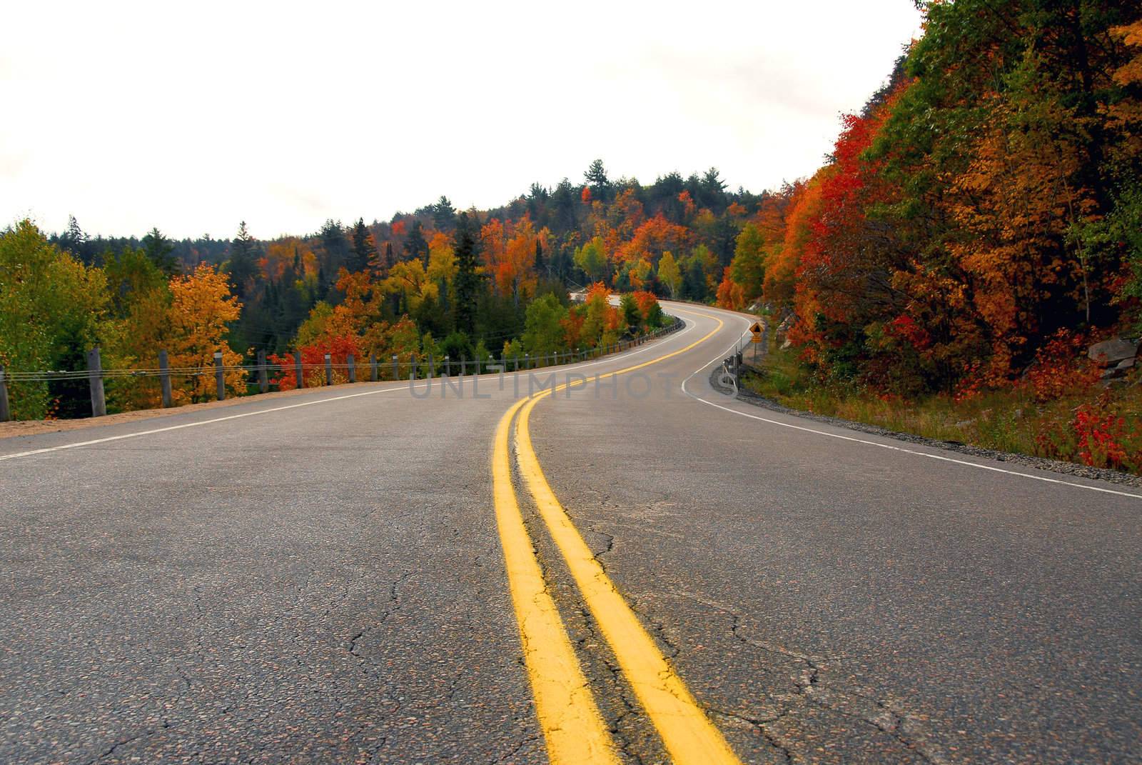 Fall scenic highway in northern Ontario, Canada