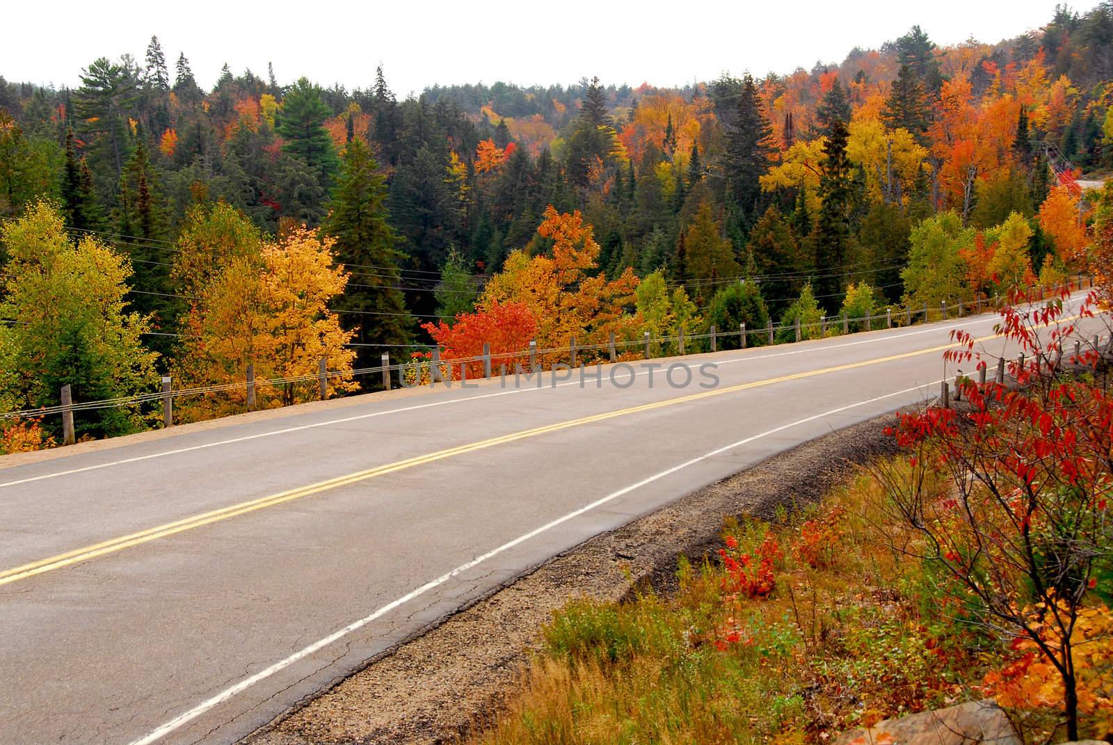 Fall scenic highway in northern Ontario, Canada