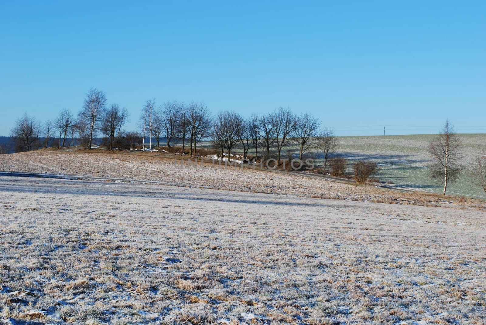 picture of landscape in winter