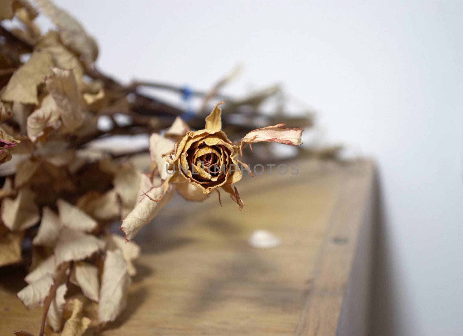 picture of a dried rose bouquet