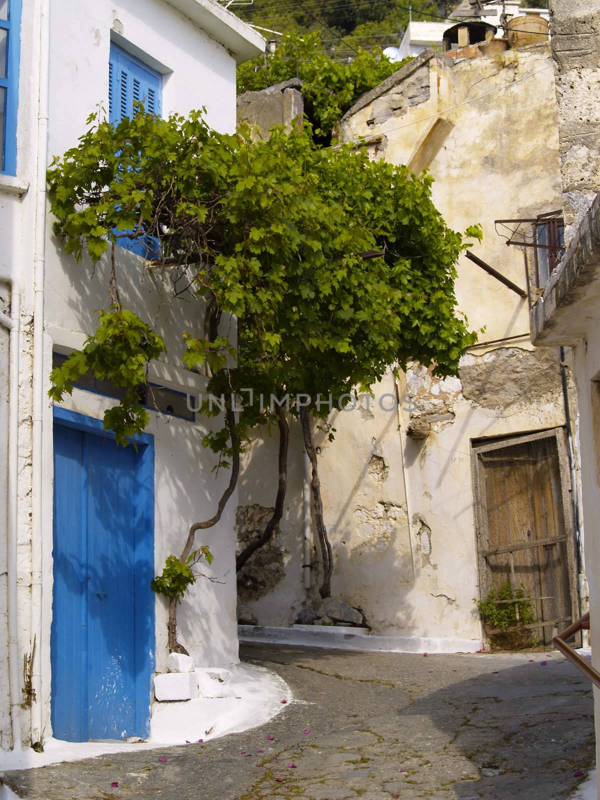 alleyway between old houses in cretan village