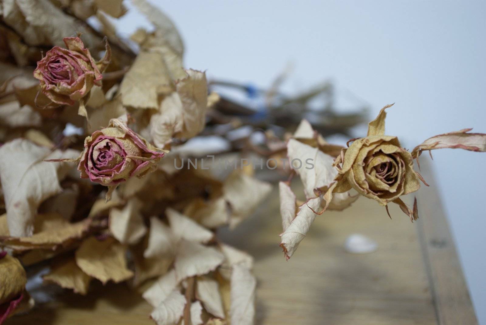 picture of a dried roses bouquet