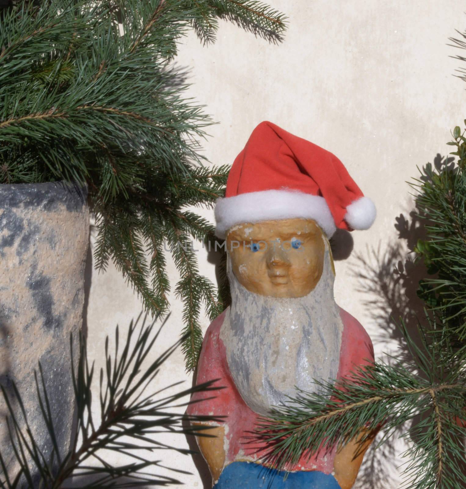 picture of a christmas garden dwarf