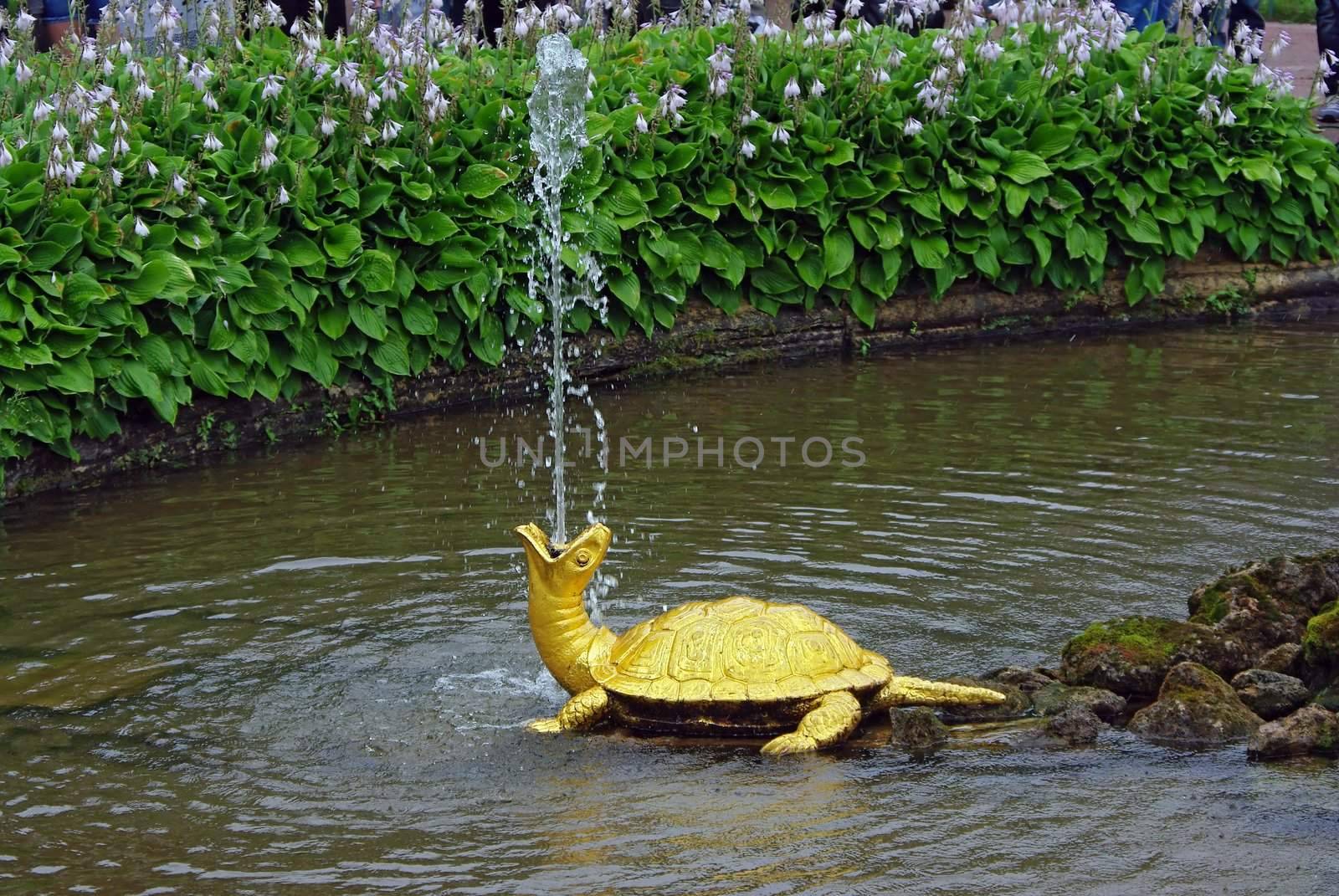 Fountain "The Turtles" In Petrodvorets (Peterhof), St Petersburg, Russia.