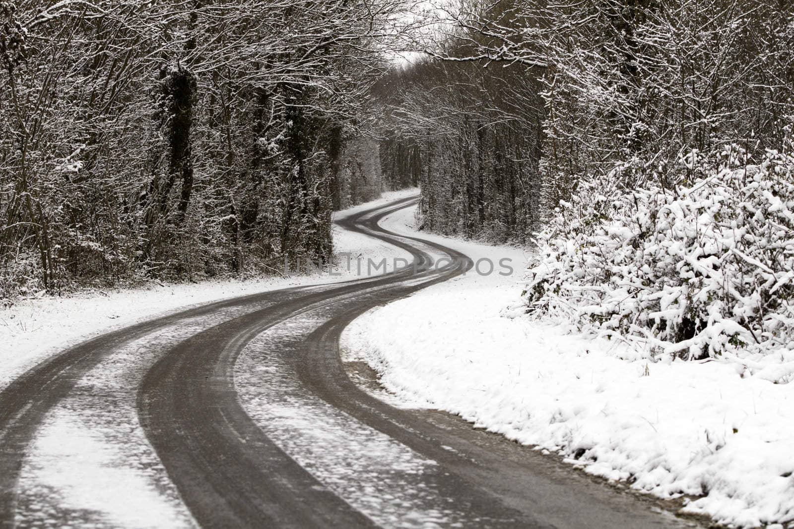 Snowy Road by chrisroll