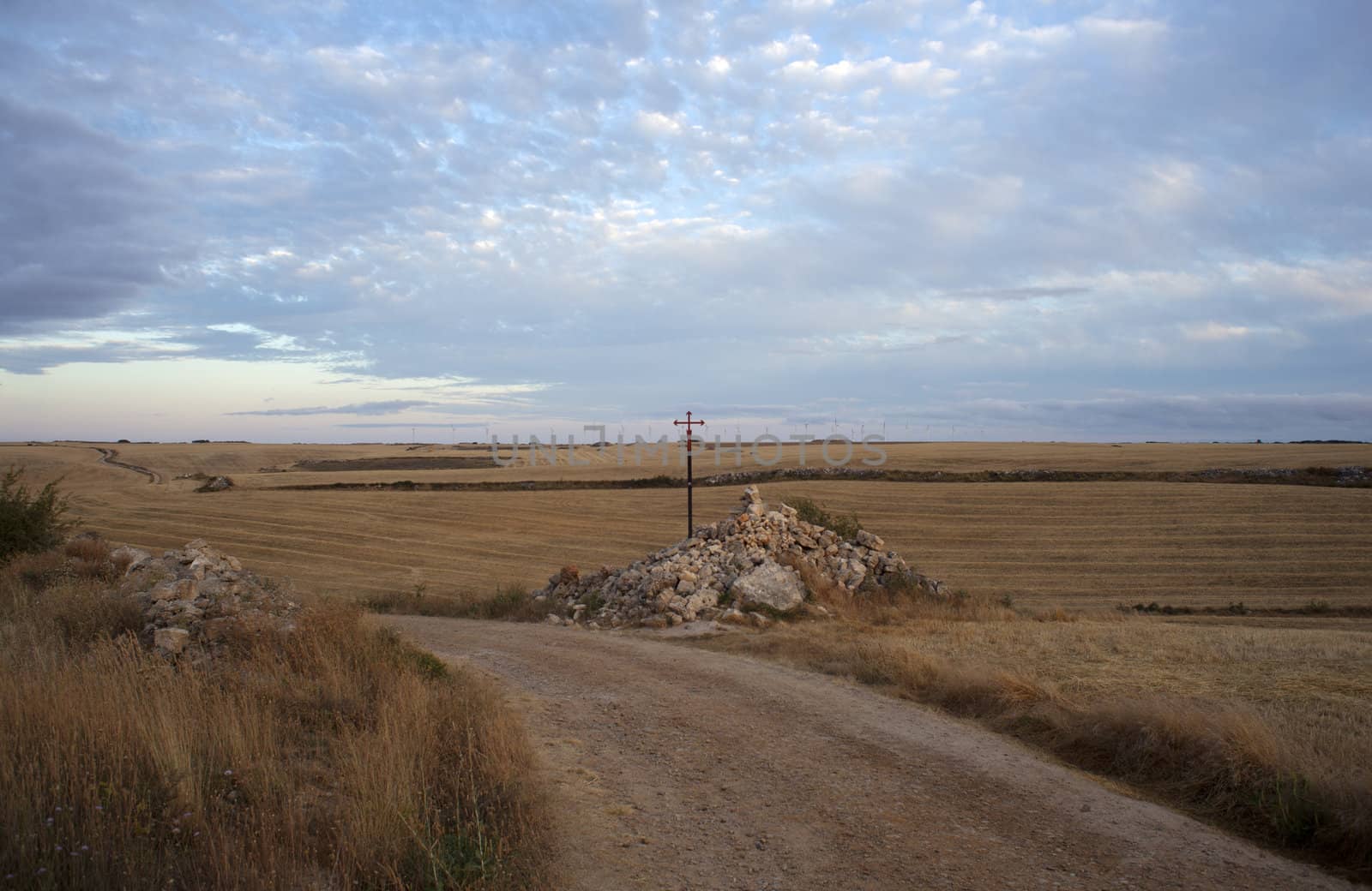 Road in the countryside - Way of St. James, Spain