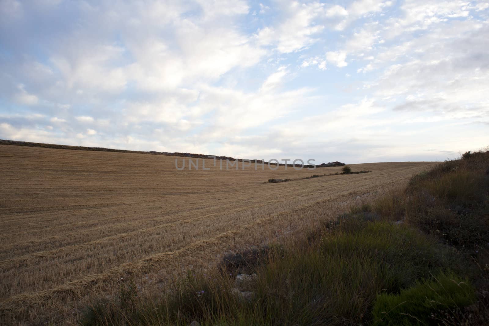 Rural scene in the countryside - Way of St. James