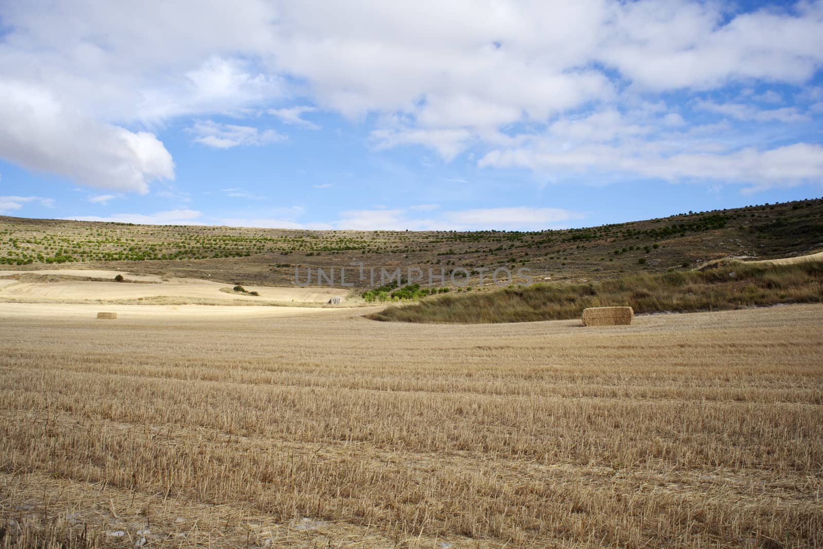 Rural scene in the countryside - Way of St. James
