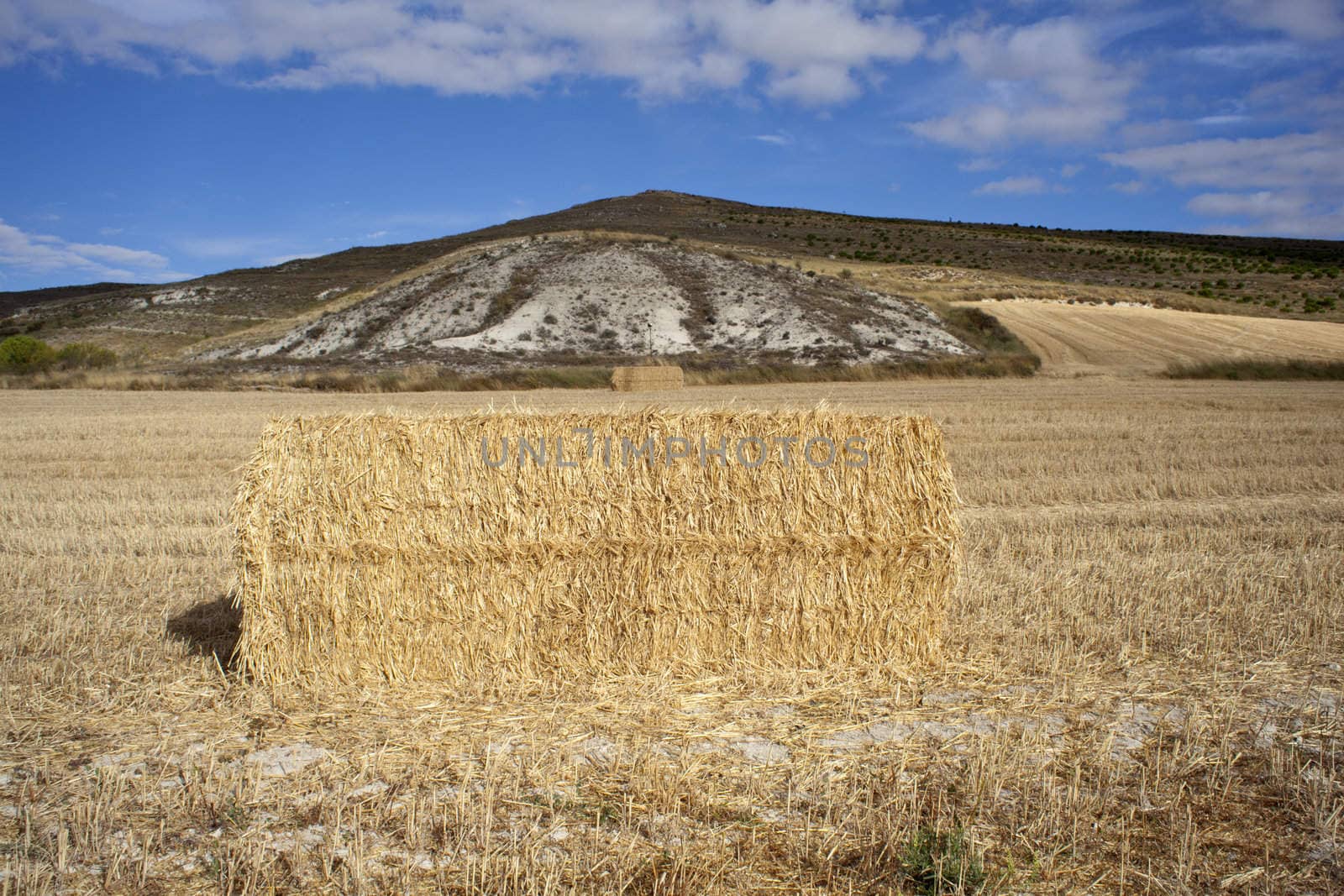 Bales of hay in the countryside