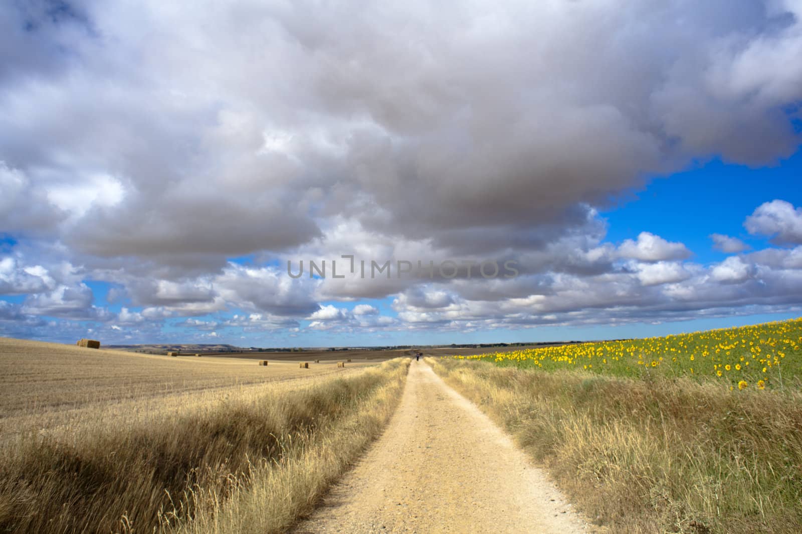 Road in the countryside with cloudy sky