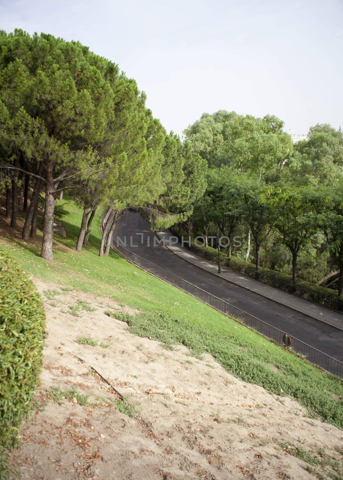 Road in the park, Madrid - Spain