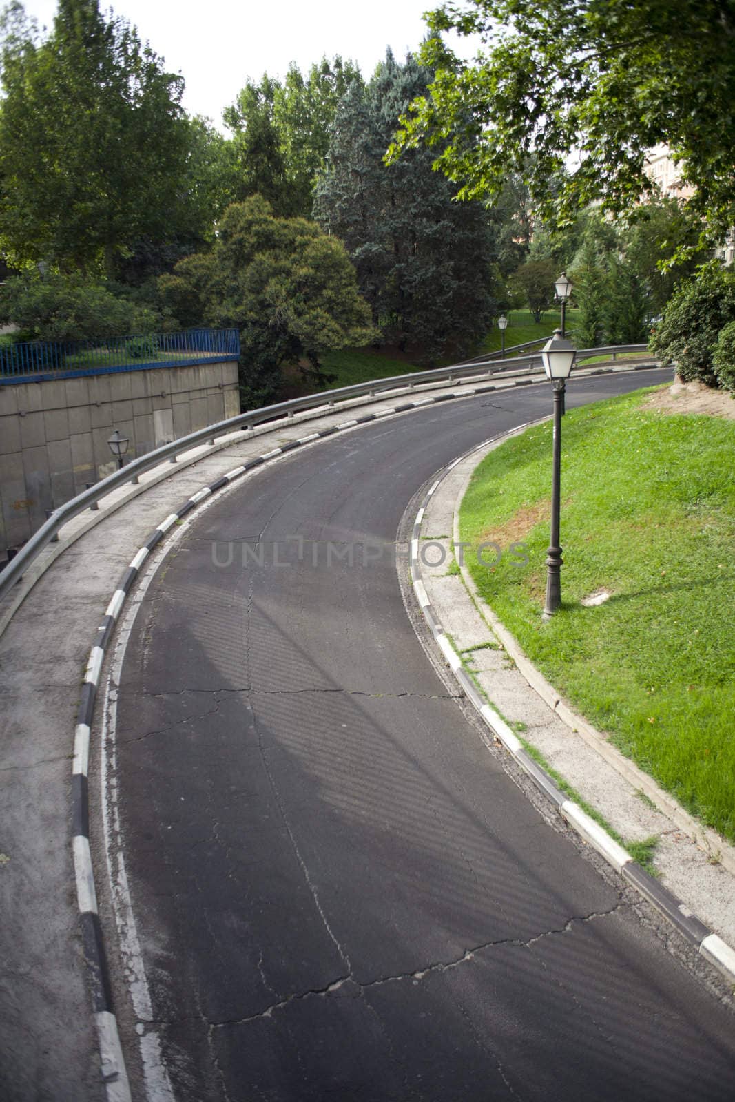 Road in the park, Madrid - Spain