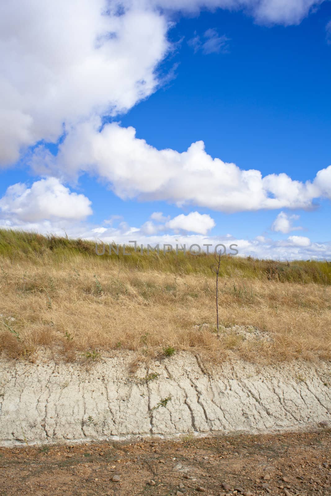 Rural scene with cluody sky
