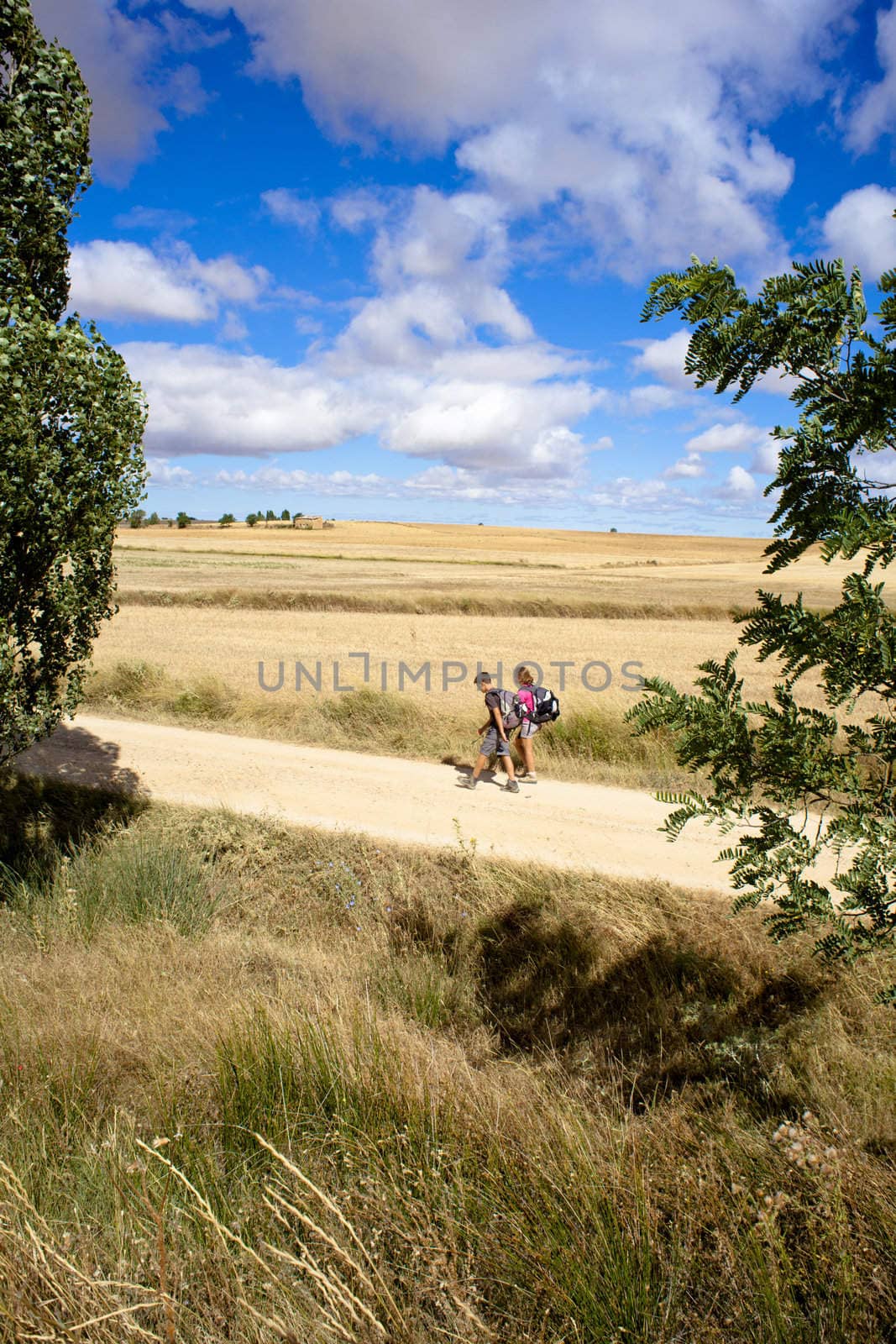 Pilgrims along the way of St. James - Spain