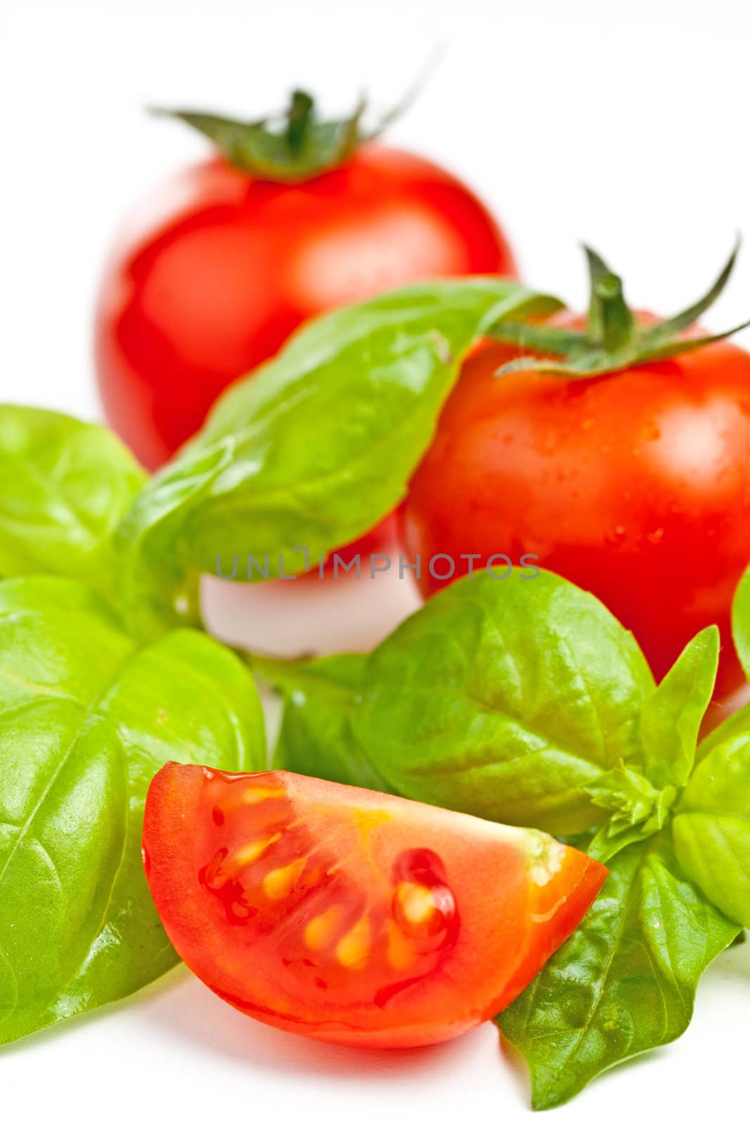 tomato of Pachino and basil on white background
