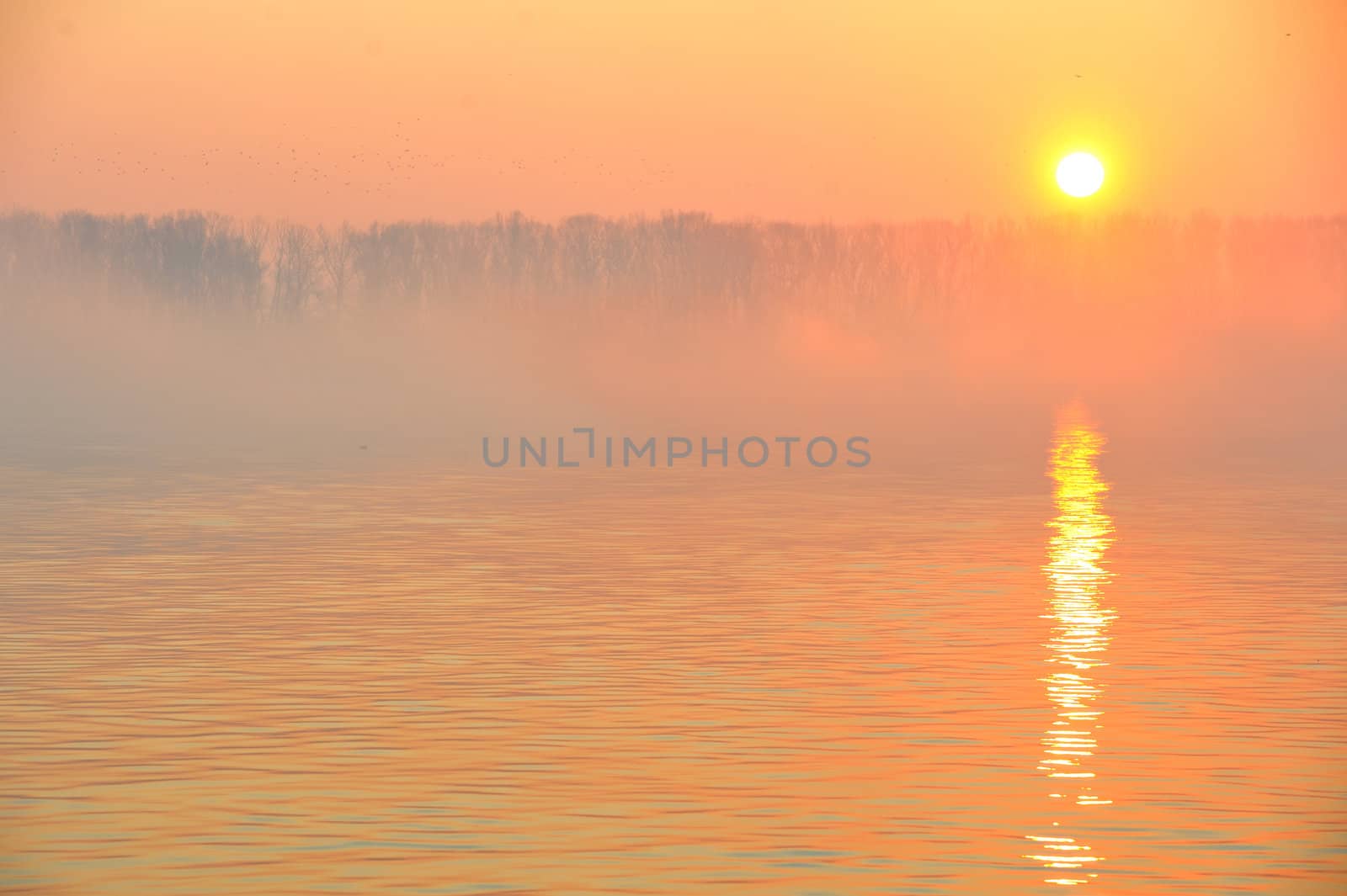 sunrise on Danube