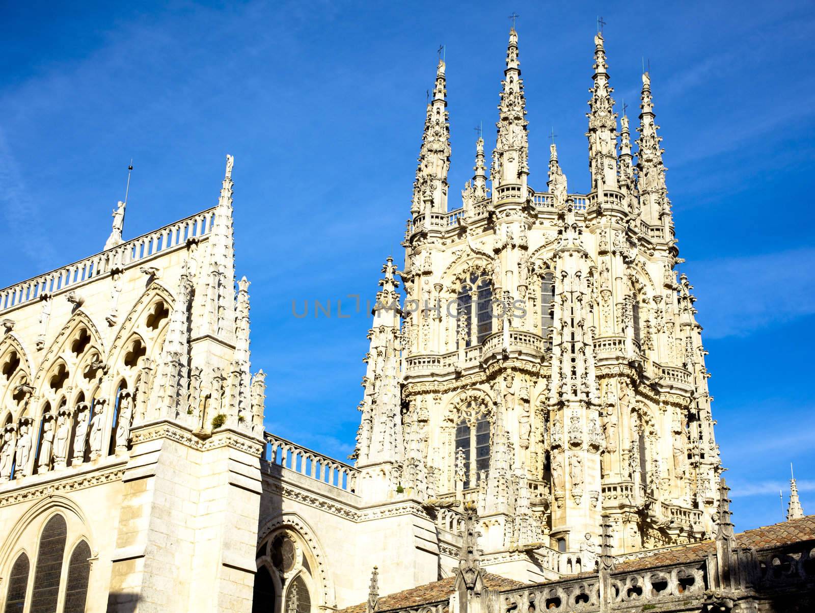 View of the Burgos cathedral - Spain