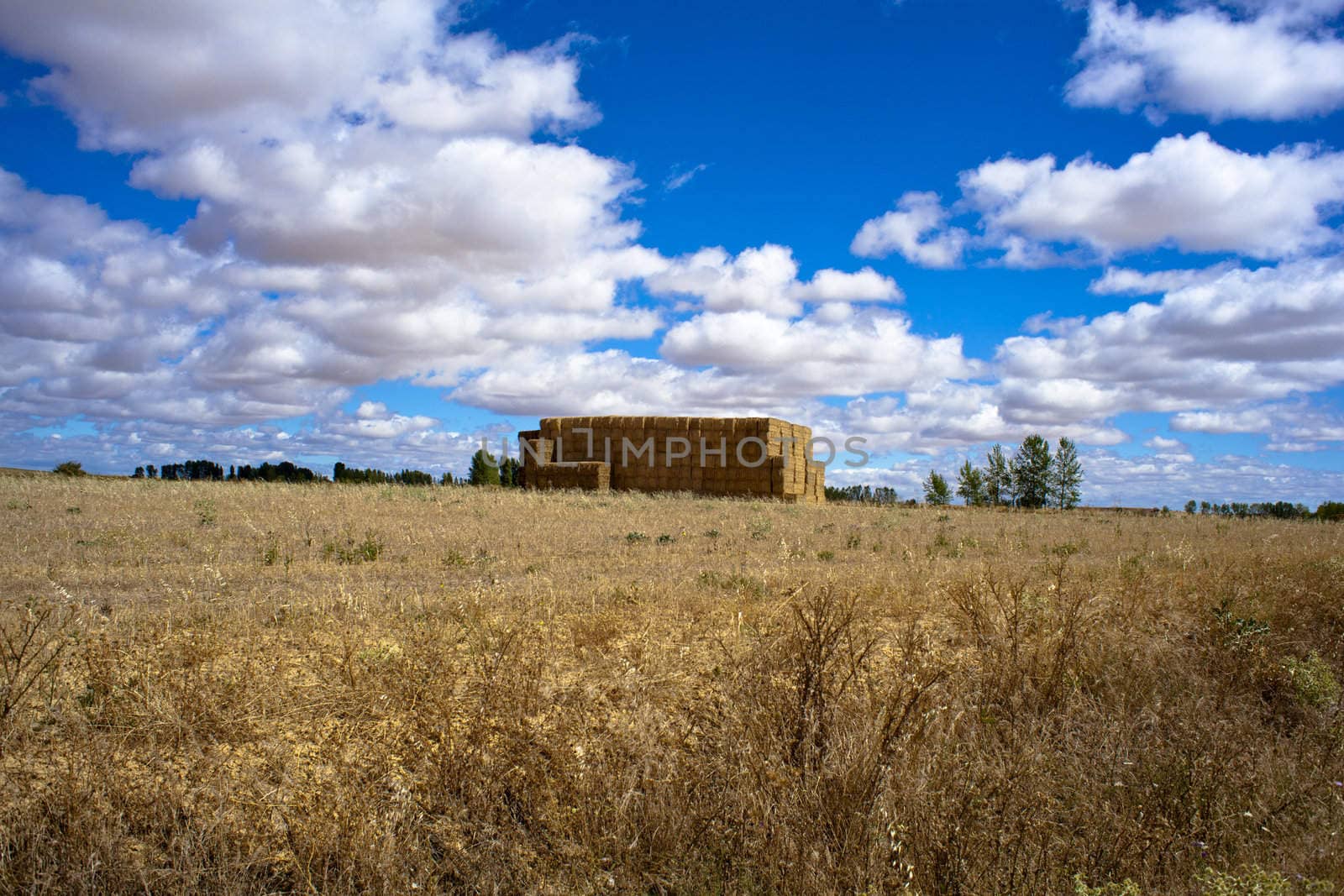 Spanish countryside, Way of St. James