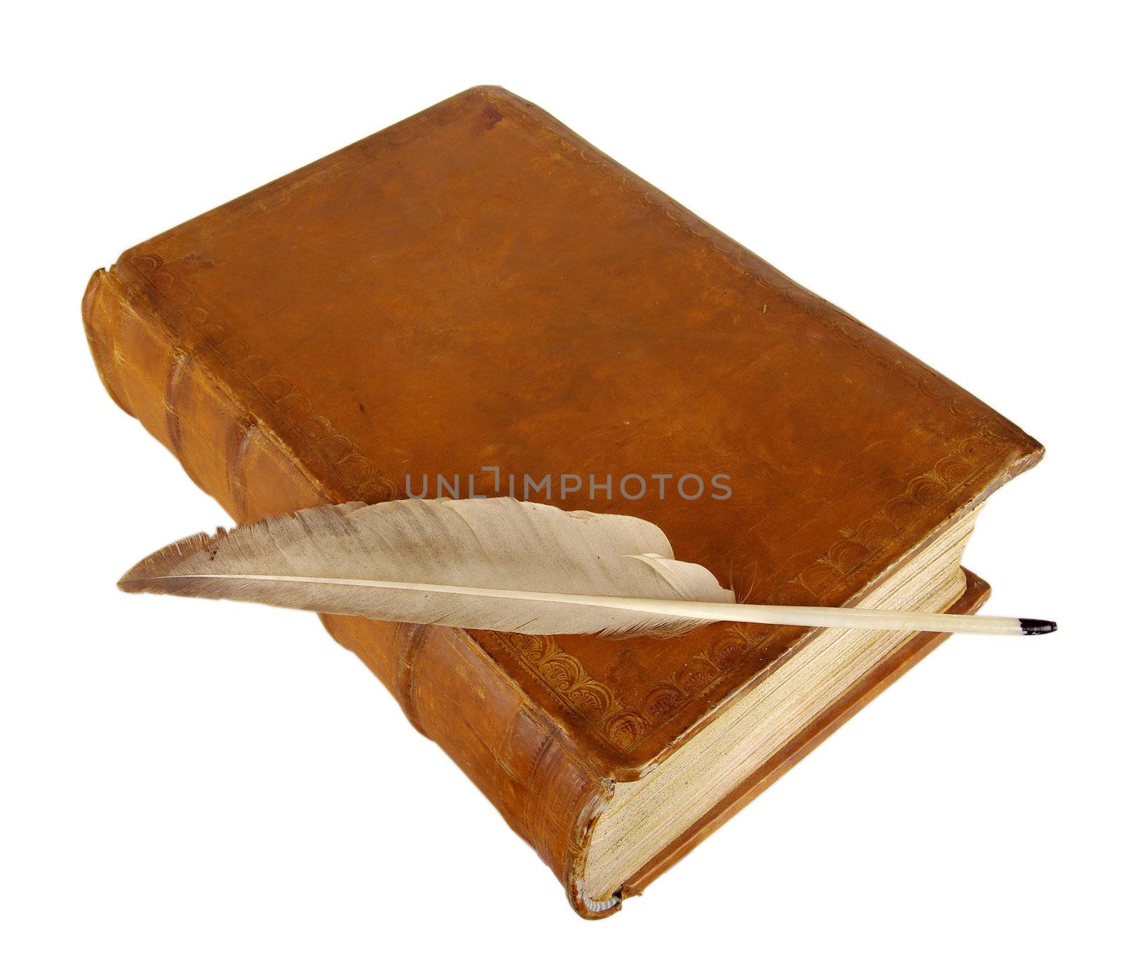 The ancient book and old goose feather